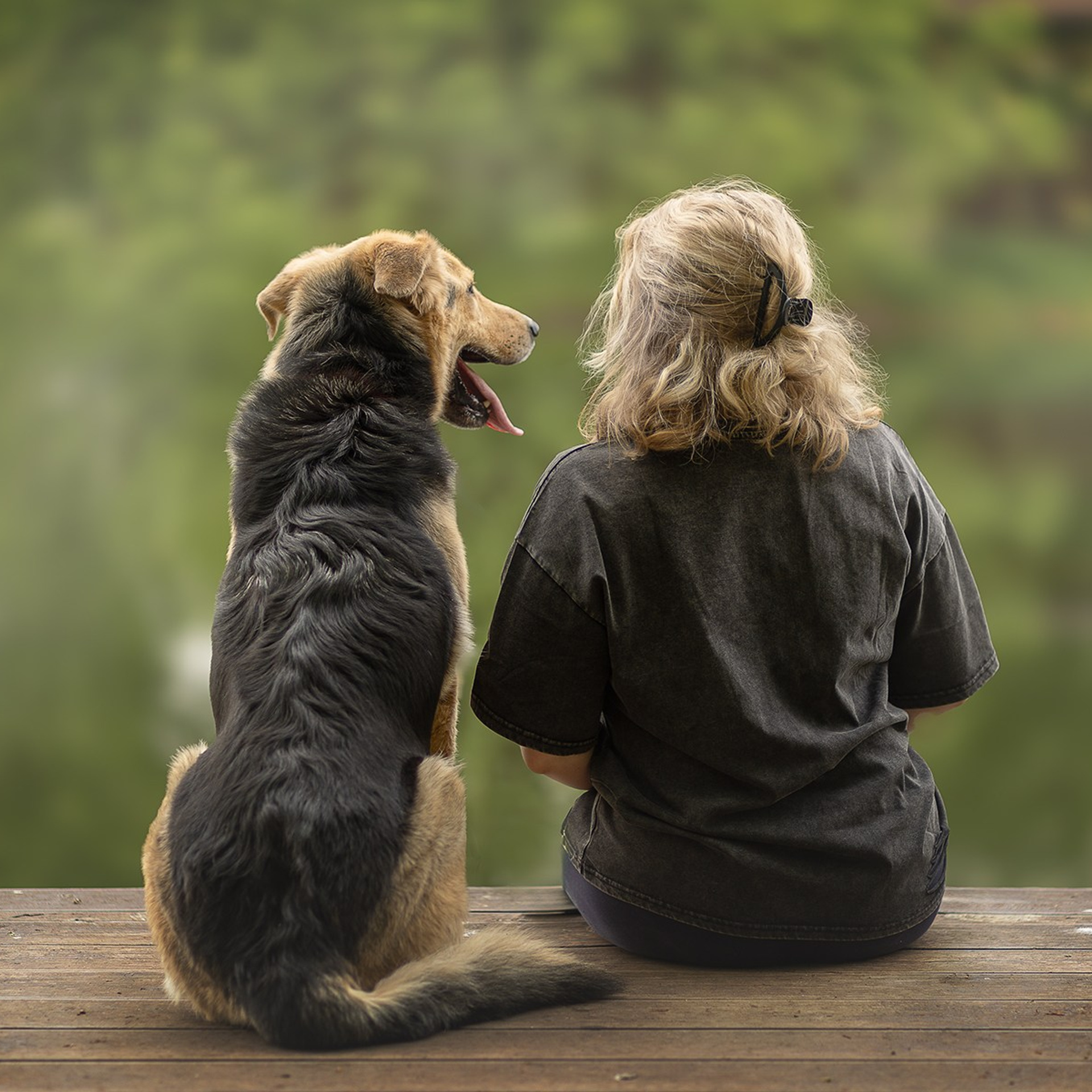 Вы и ваша собака. Фотограф-анималист в Москве и Подмосковье