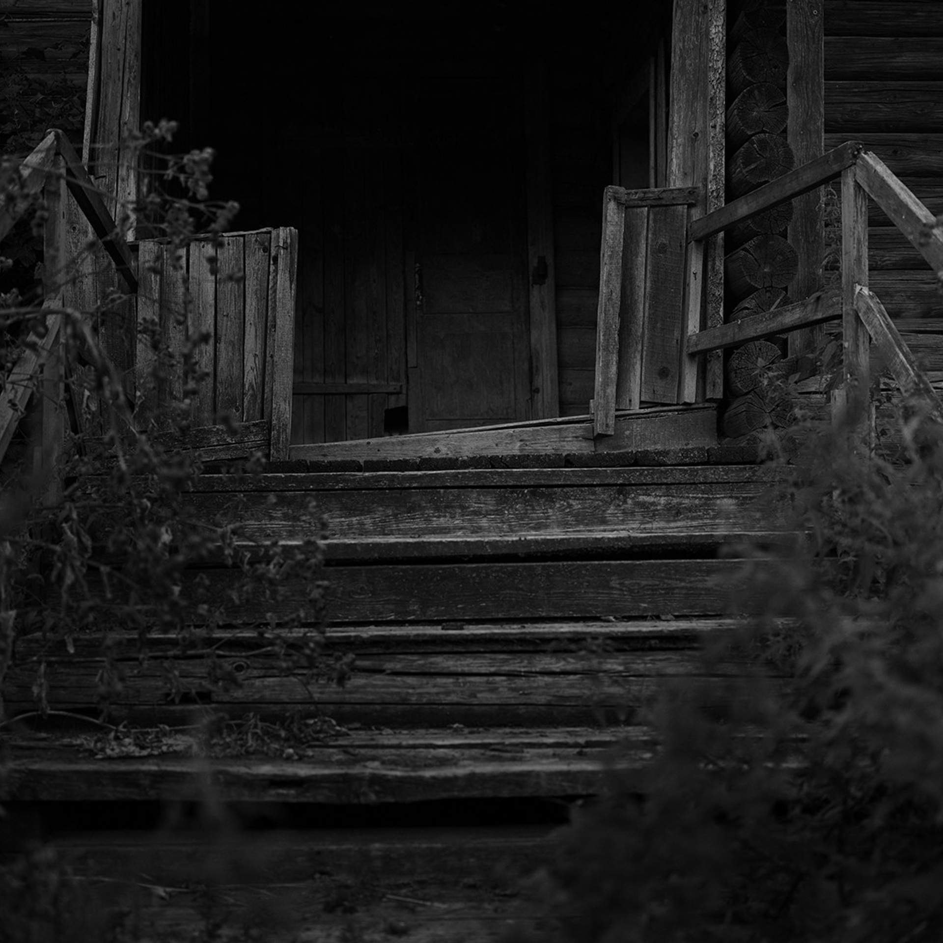 Gorushka. Documentary and art photographer Alexey Terentyev