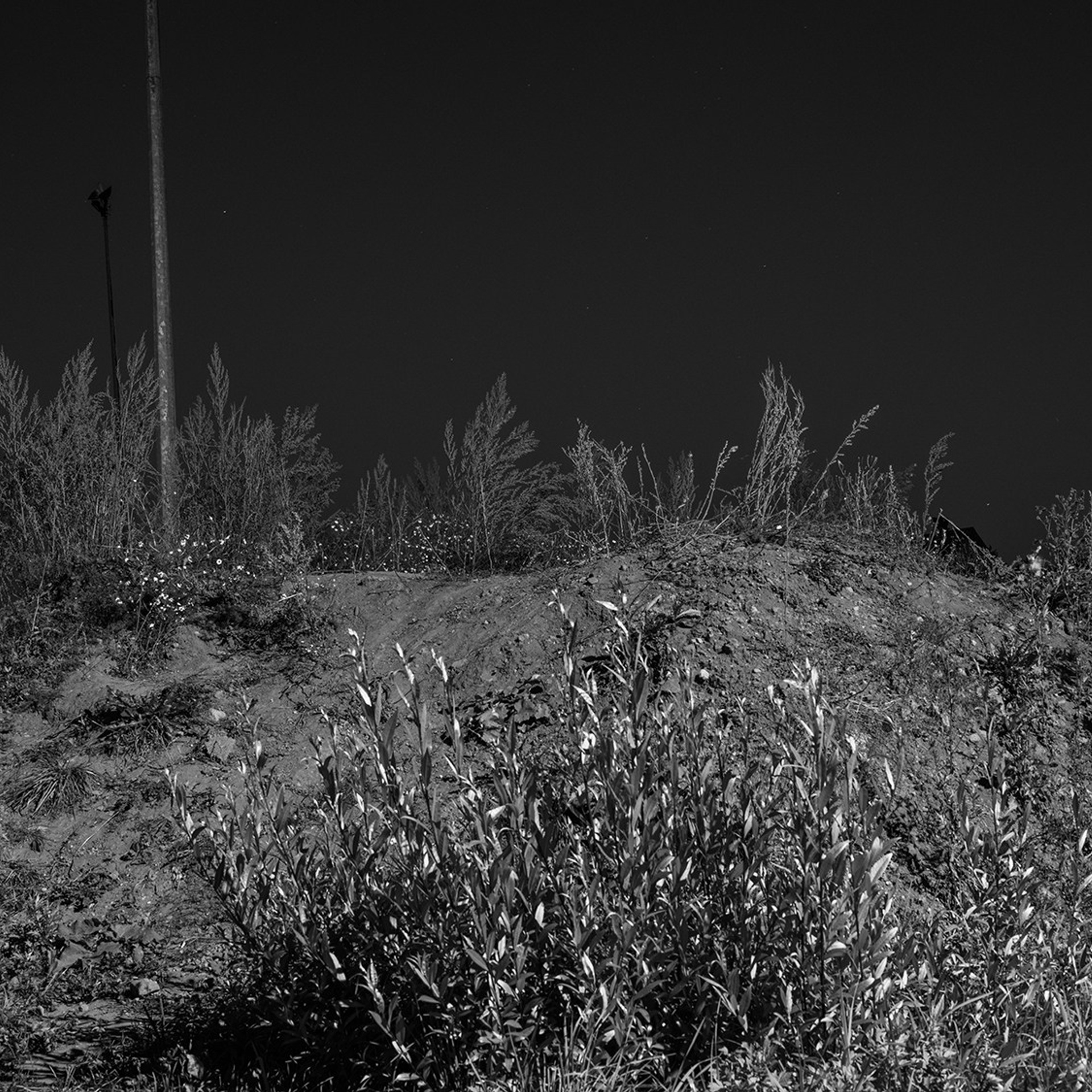 Gorushka. Documentary and art photographer Alexey Terentyev