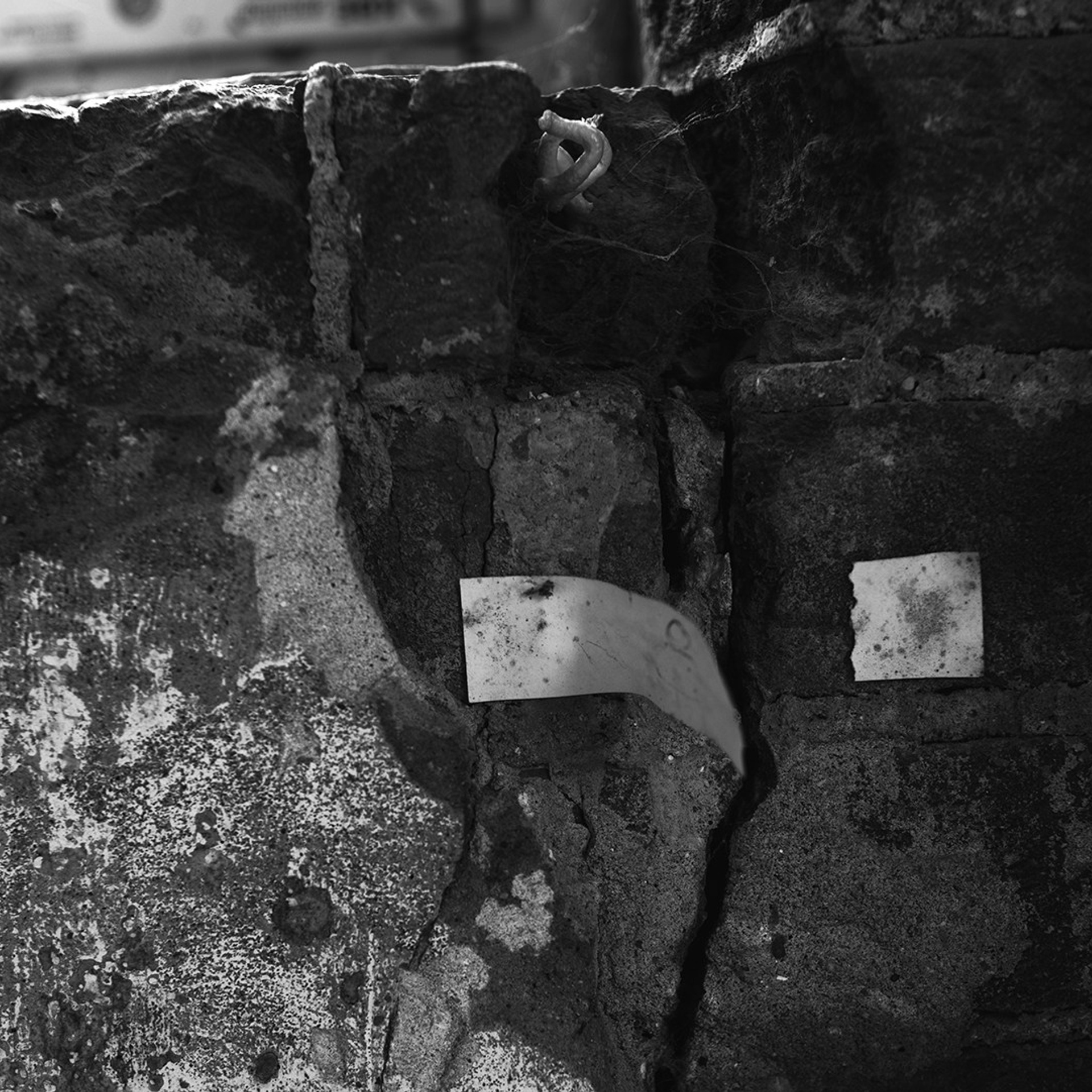 Gorushka. Documentary and art photographer Alexey Terentyev