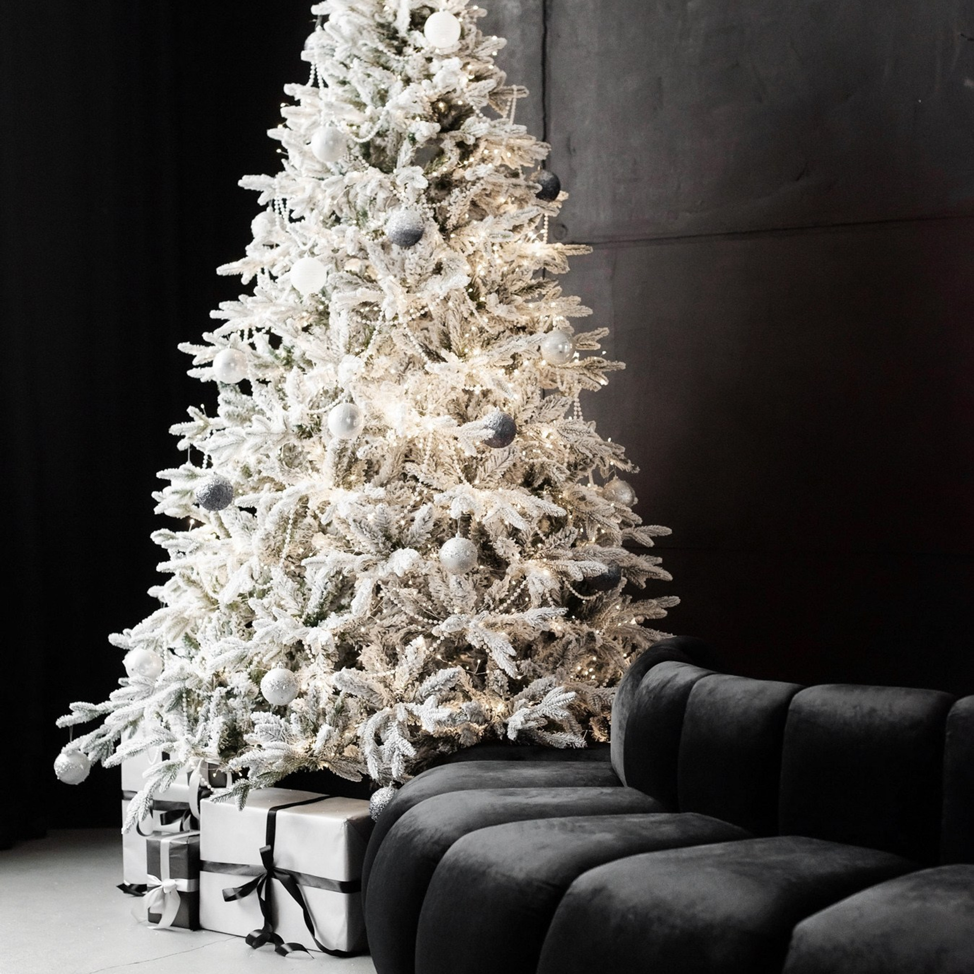 Новогодняя фотосессия. Фотограф Евгений Бирюков