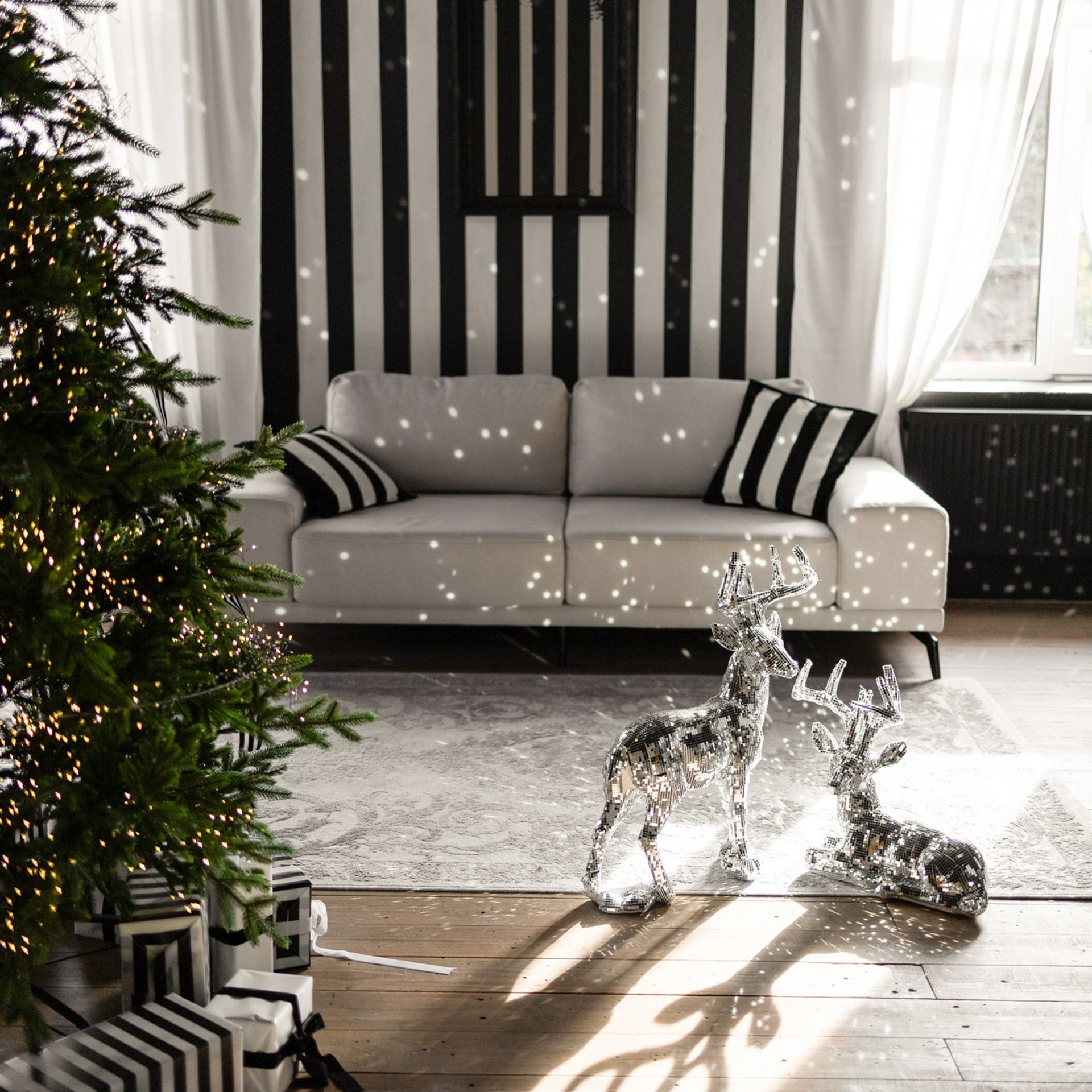 Новогодняя фотосессия. Фотограф Евгений Бирюков