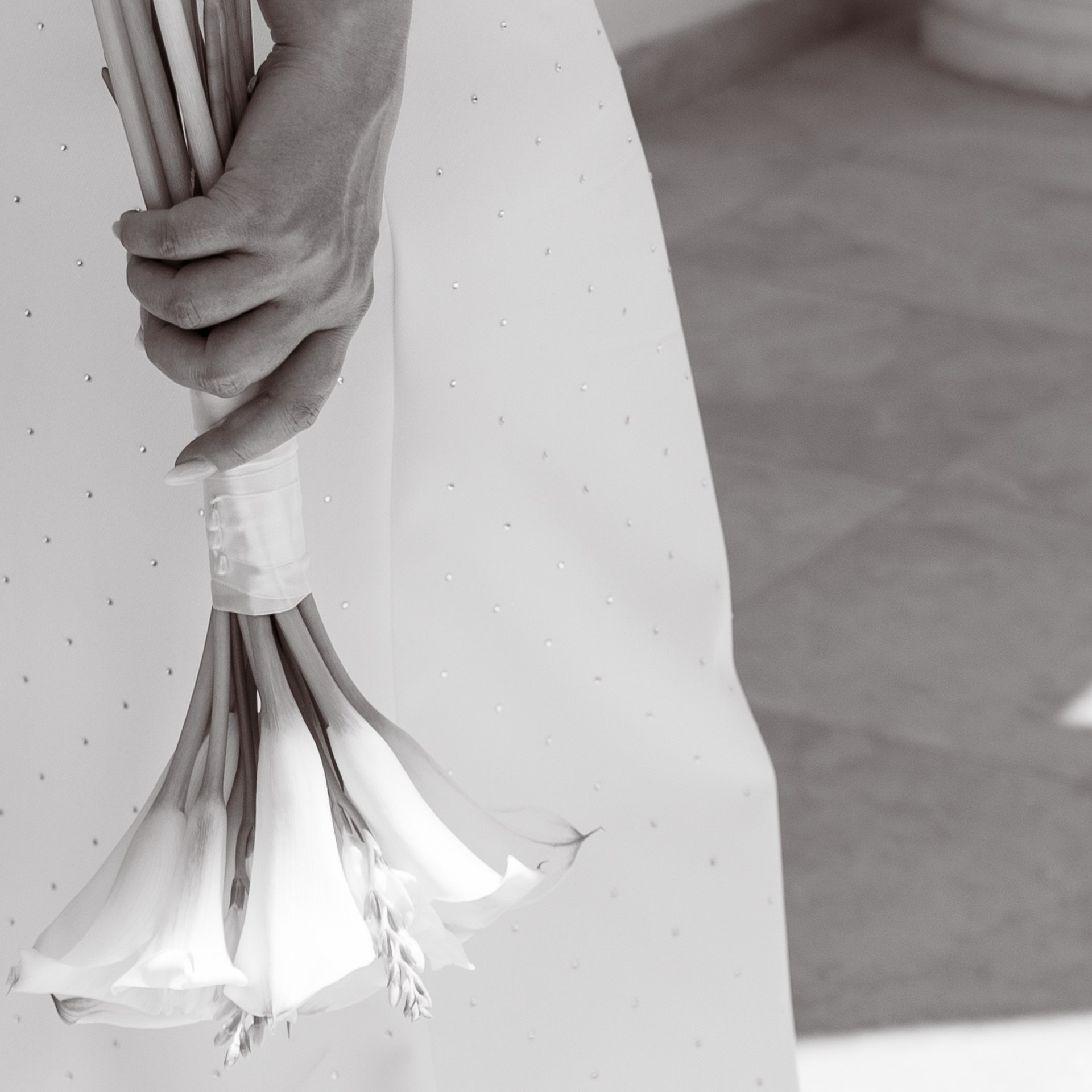 Фотограф и видеограф Зеленская Дарья