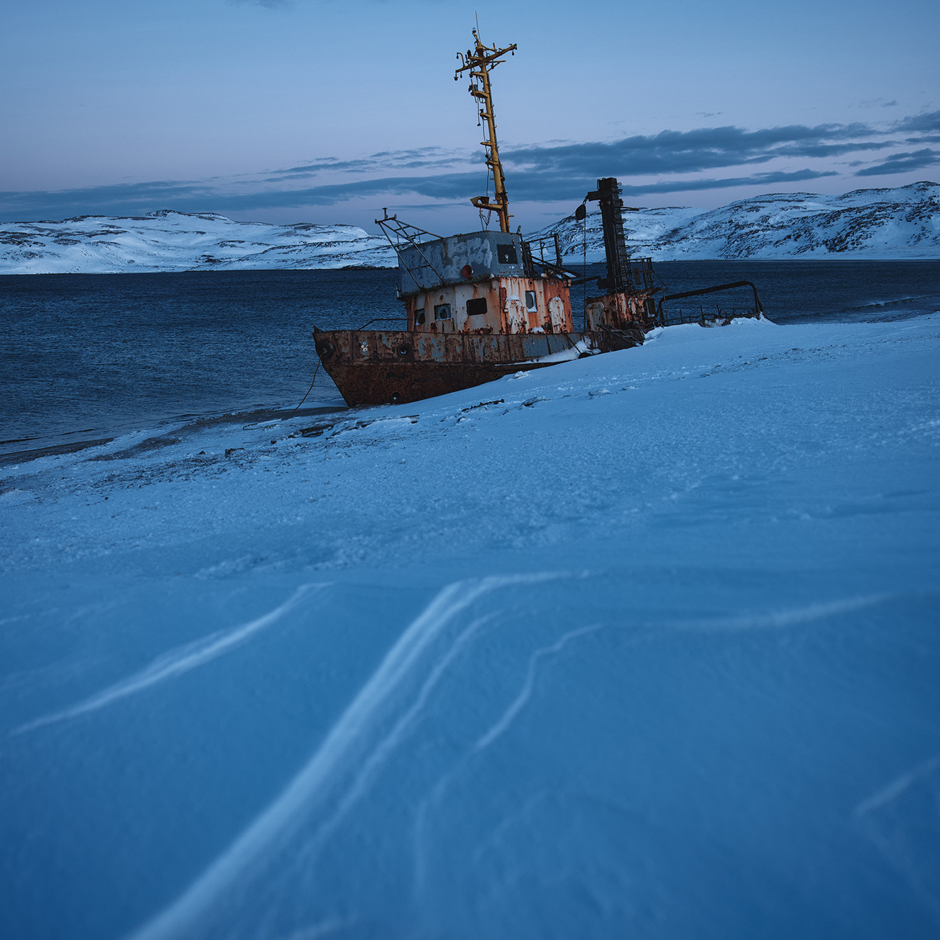 В погоне за китами. Фотограф Константин Шамин