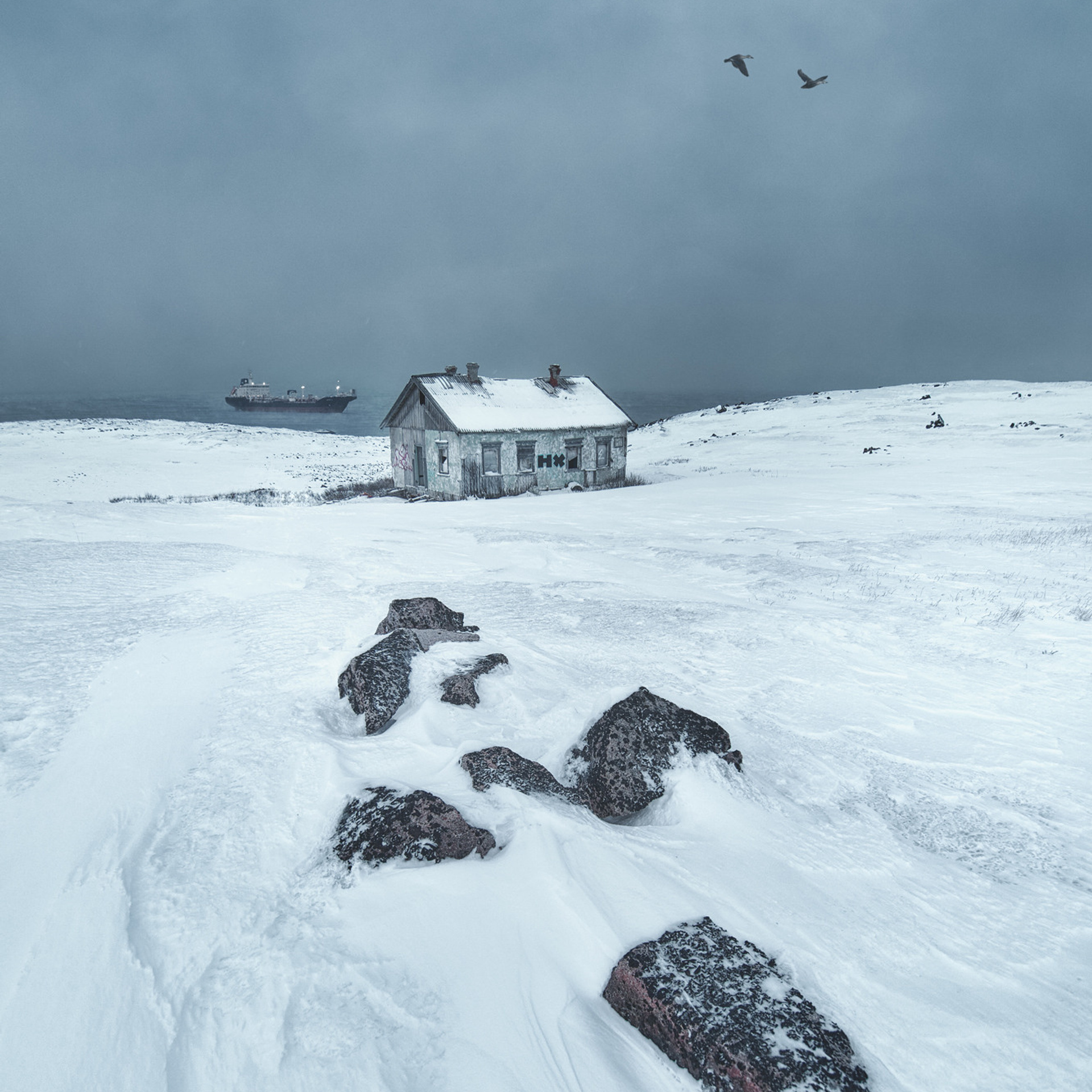 В погоне за китами. Фотограф Константин Шамин