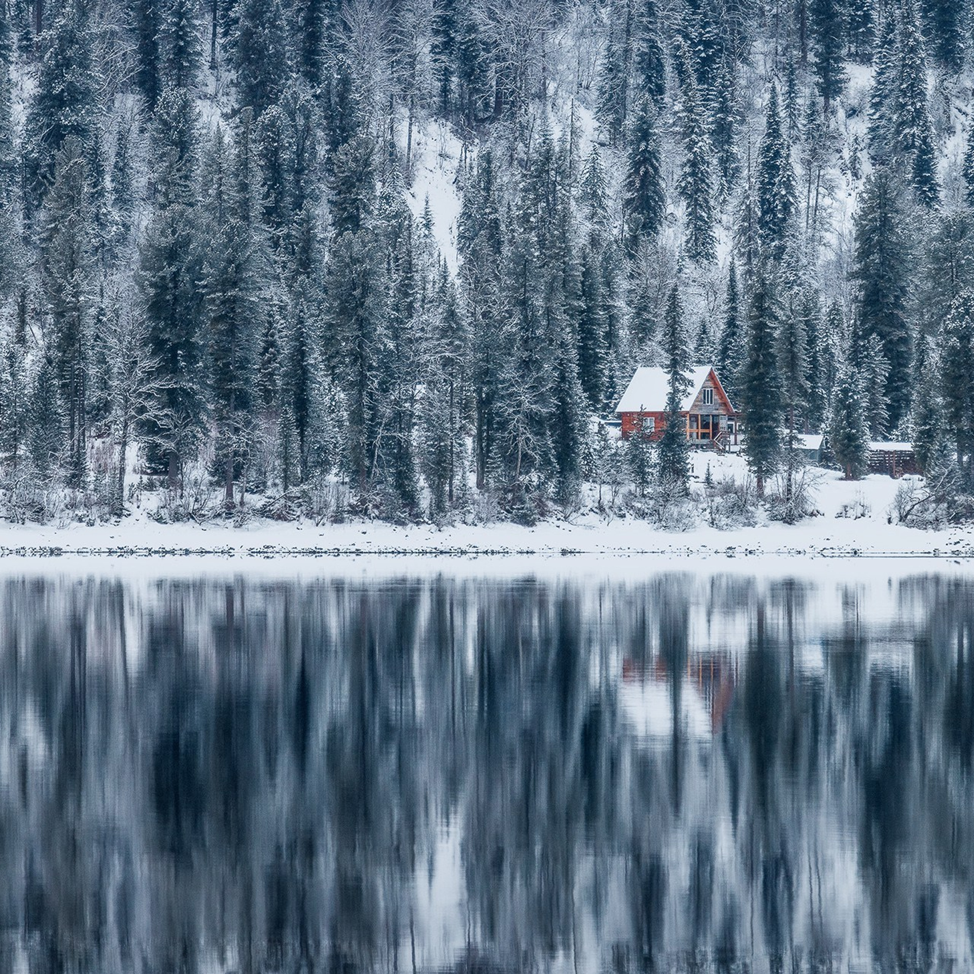 Зимние краски Алтая (01.12 — 07.12.25). Фотограф Константин Шамин