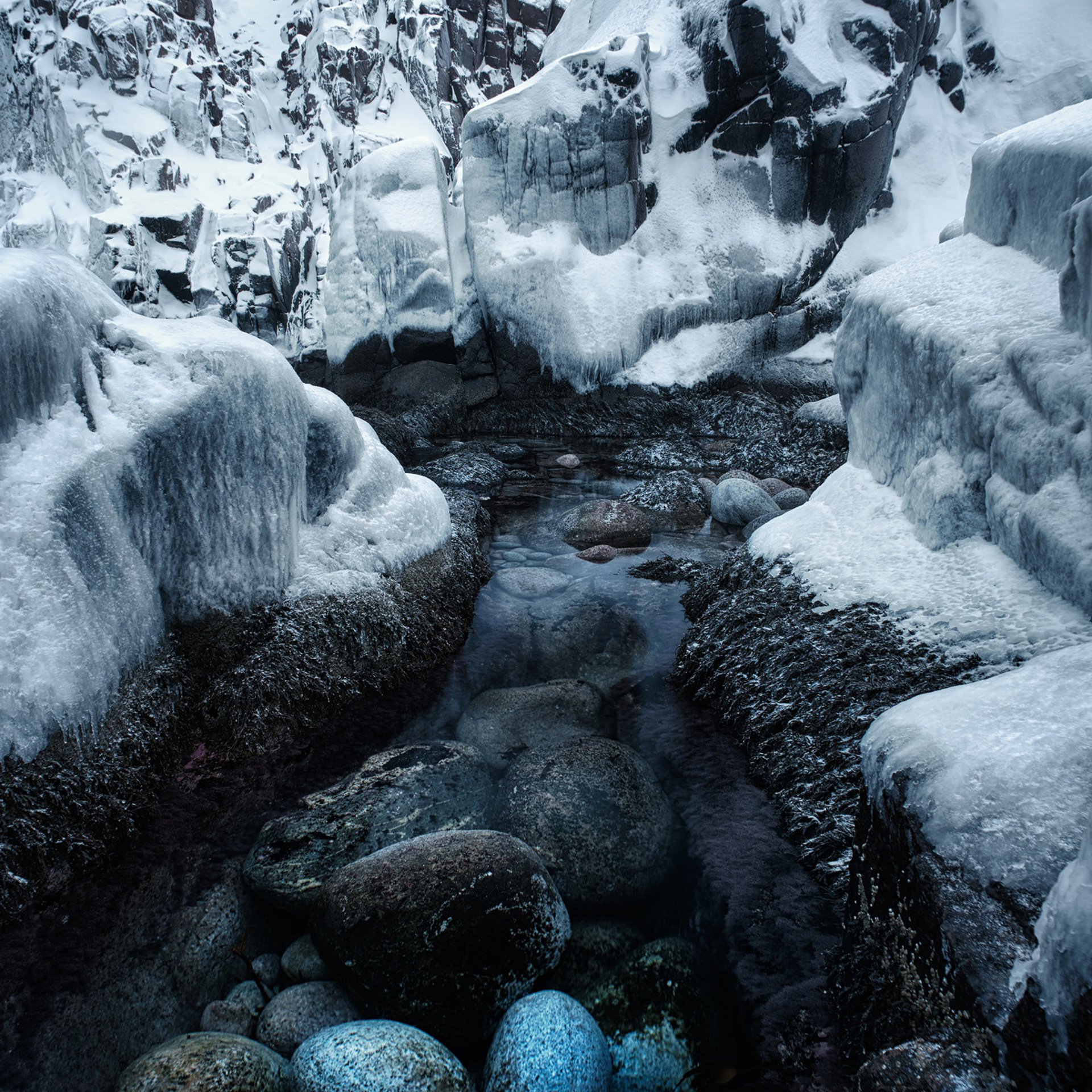 В погоне за китами. Фотограф Константин Шамин