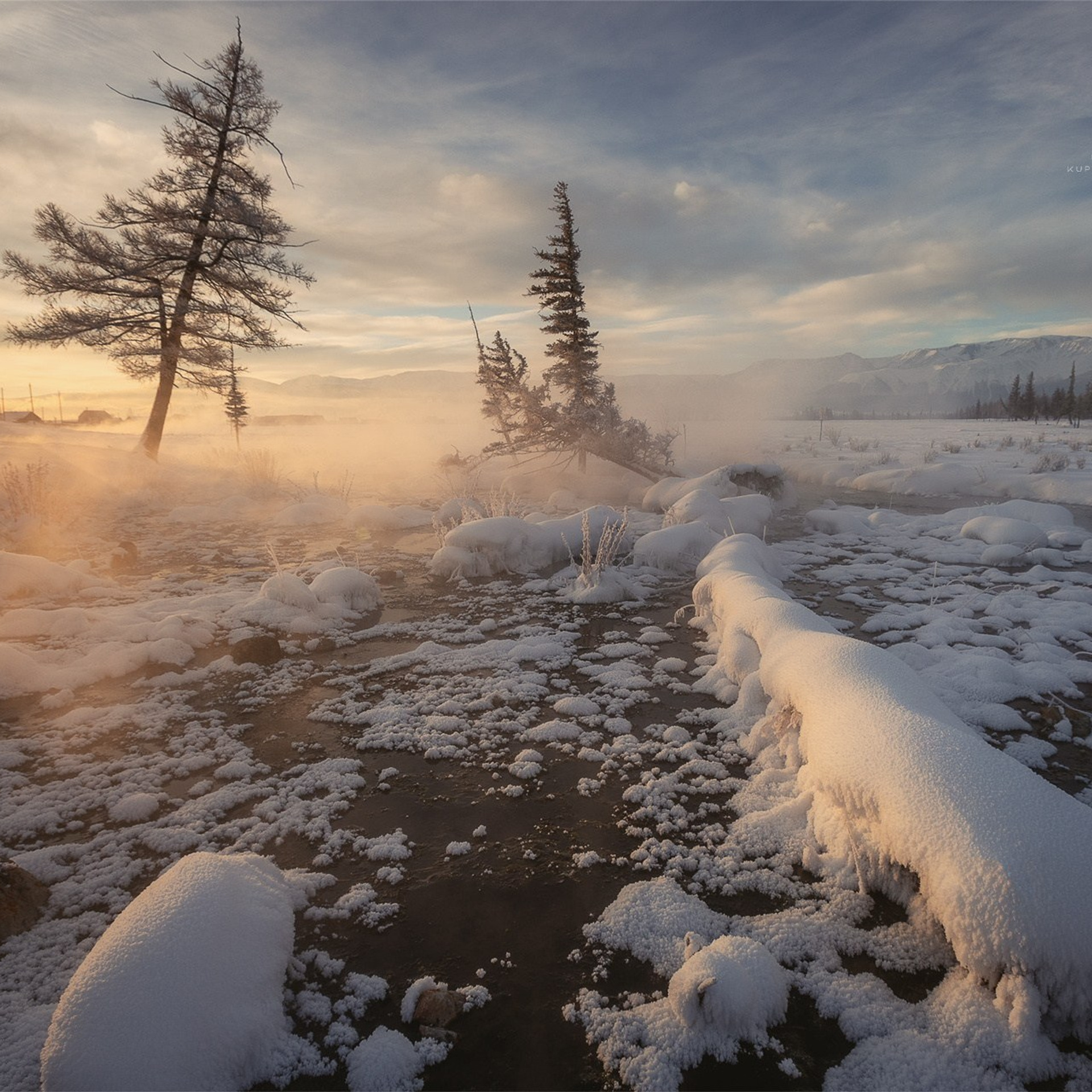 Зимние краски Алтая (01.12 — 07.12.25). Фотограф Константин Шамин