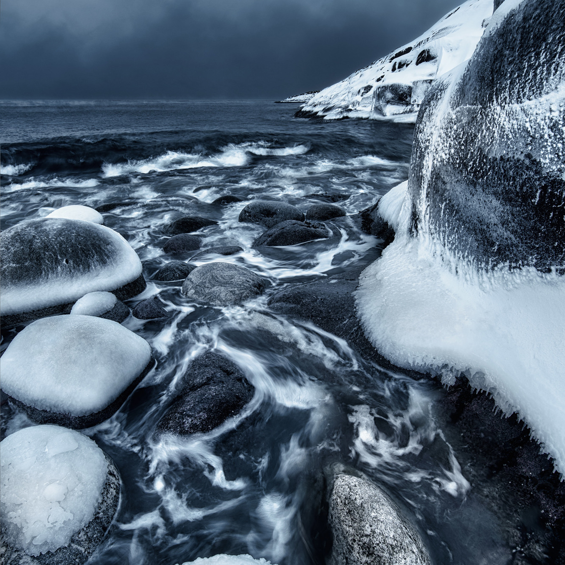 В погоне за китами. Фотограф Константин Шамин