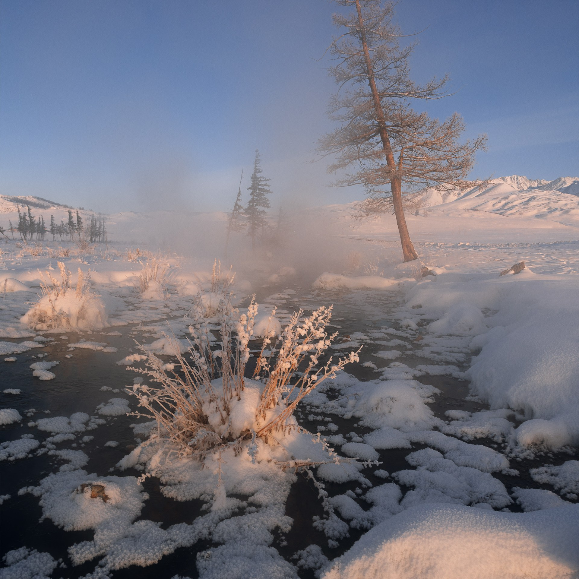 Зимние краски Алтая (01.12 — 07.12.25). Фотограф Константин Шамин