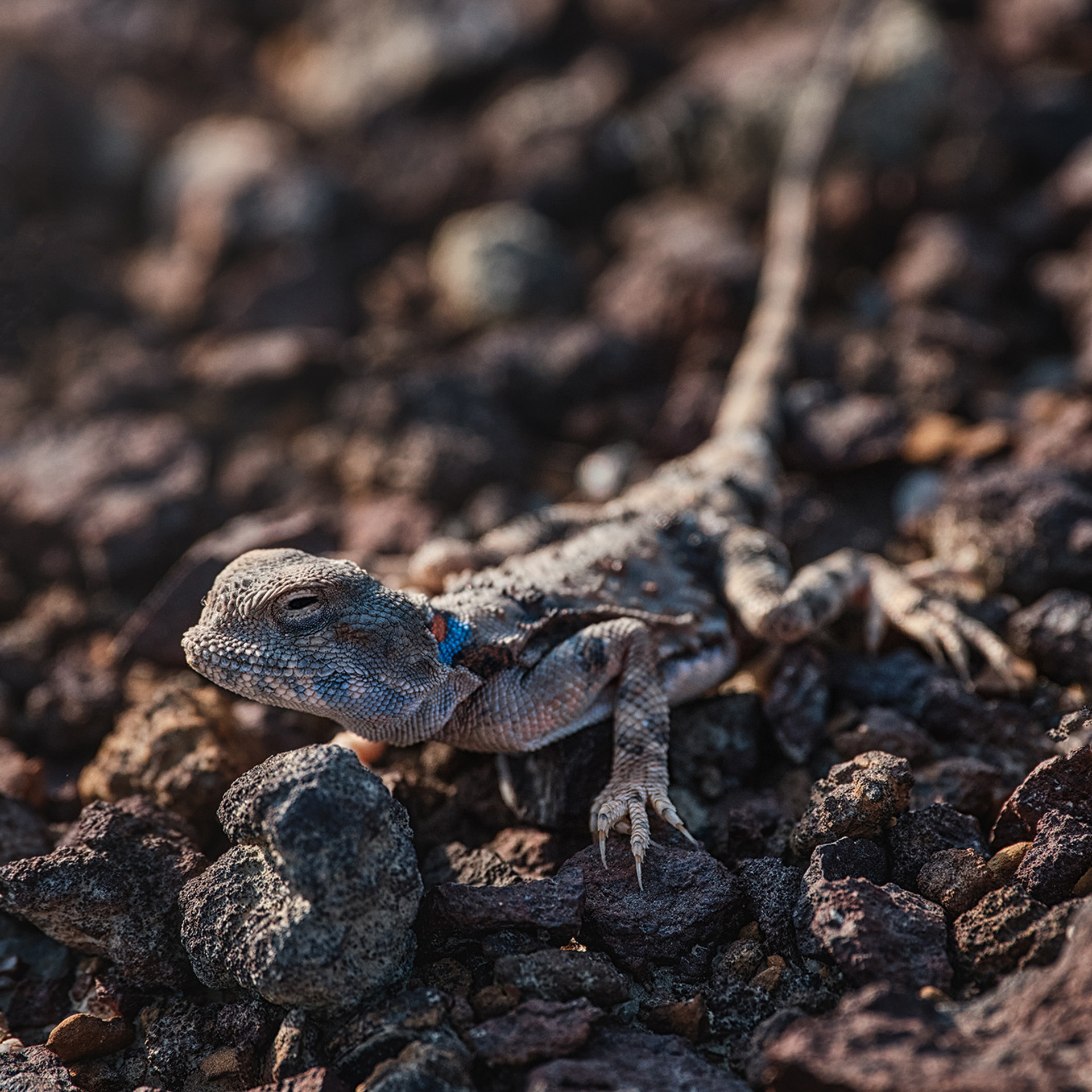Киргизия — геопарк Мадыген. Фотограф Константин Шамин