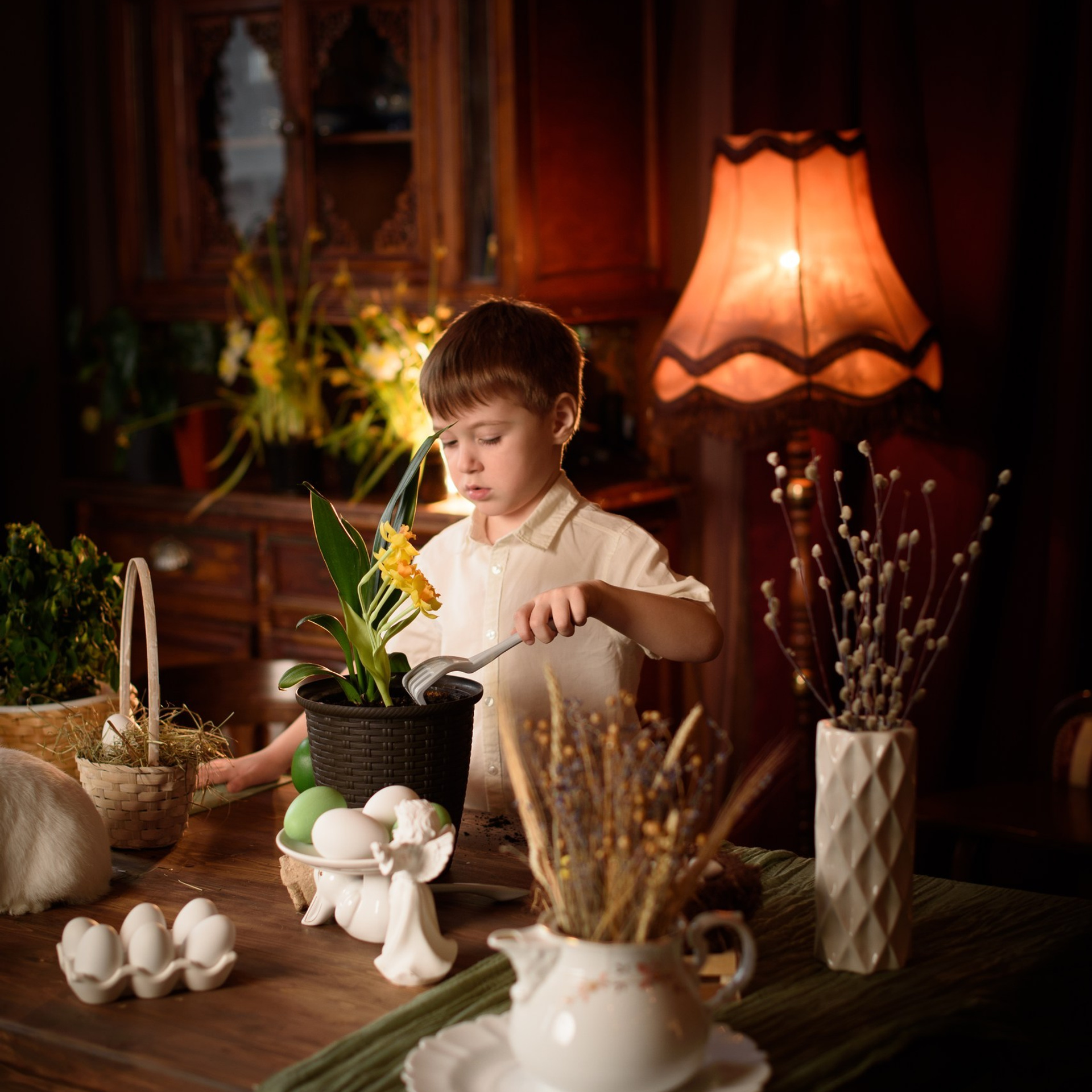 Фотостудия интерьерная в Туле — Давинчи |Davinci