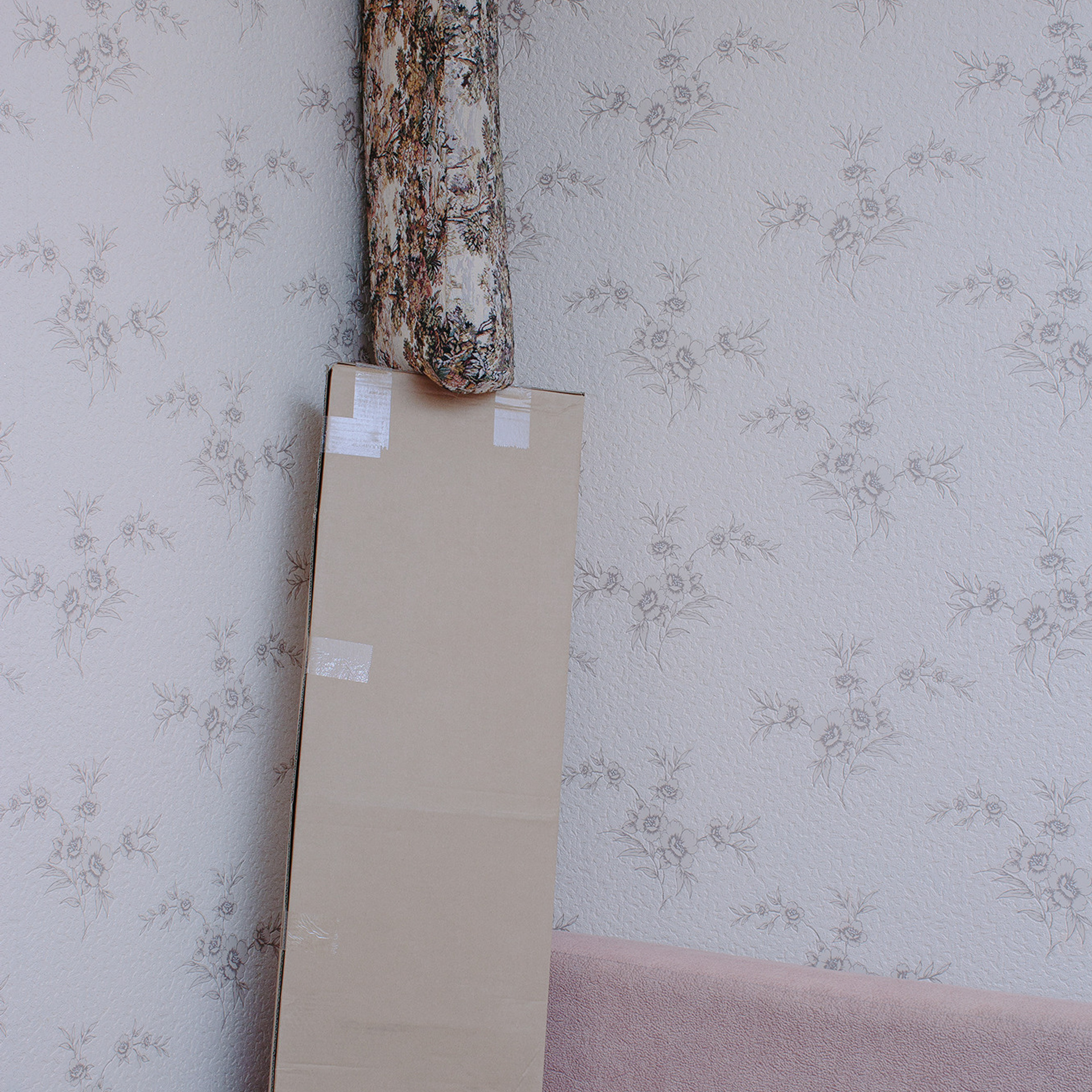 Проект в домике. Художница Ирина Дмитровская