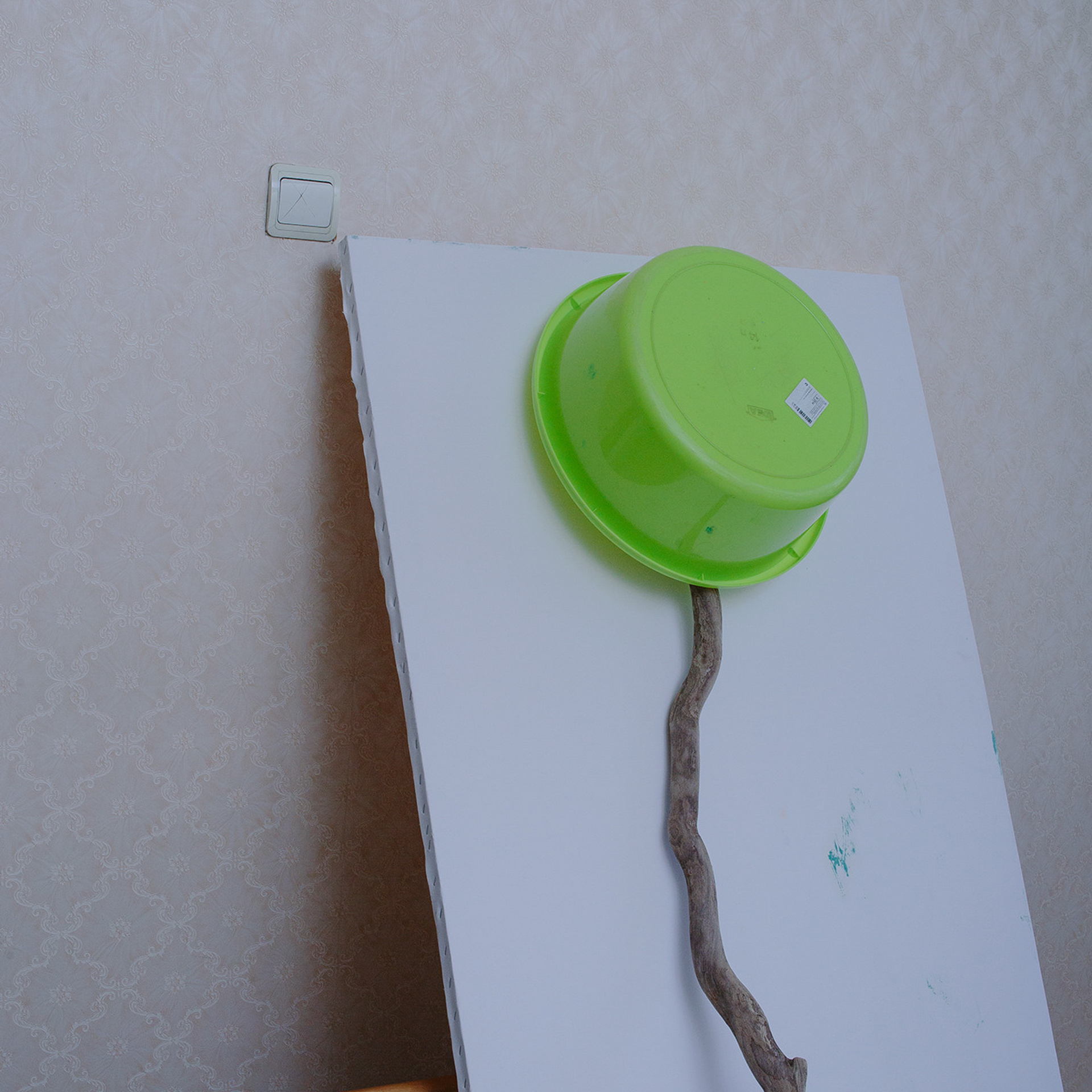 Проект в домике. Художница Ирина Дмитровская