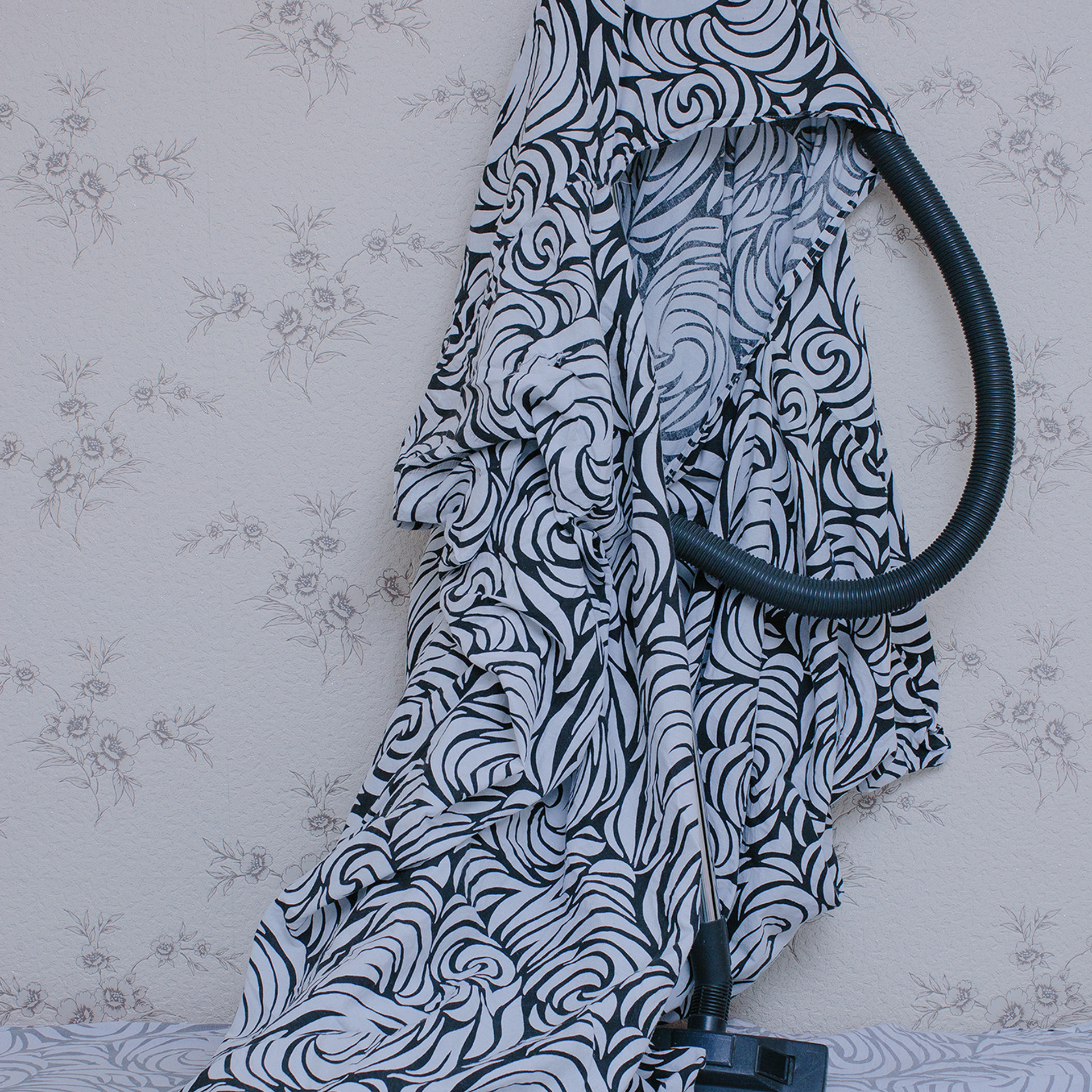 Проект в домике. Художница Ирина Дмитровская