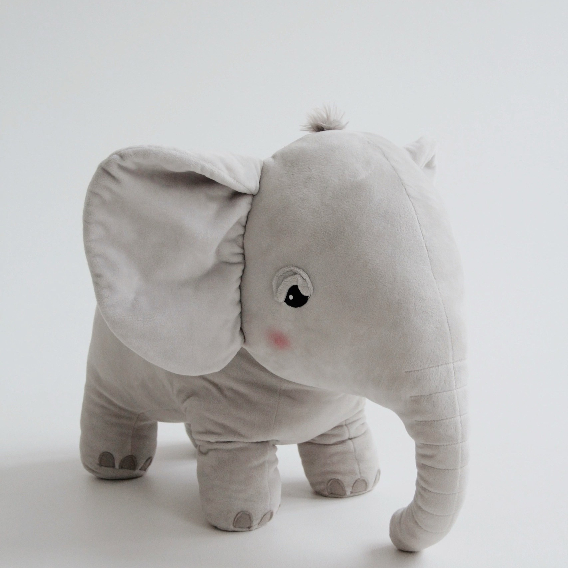 Зал Лео. Фотостудия «Балкон» — аренда фотостудии в Пензе