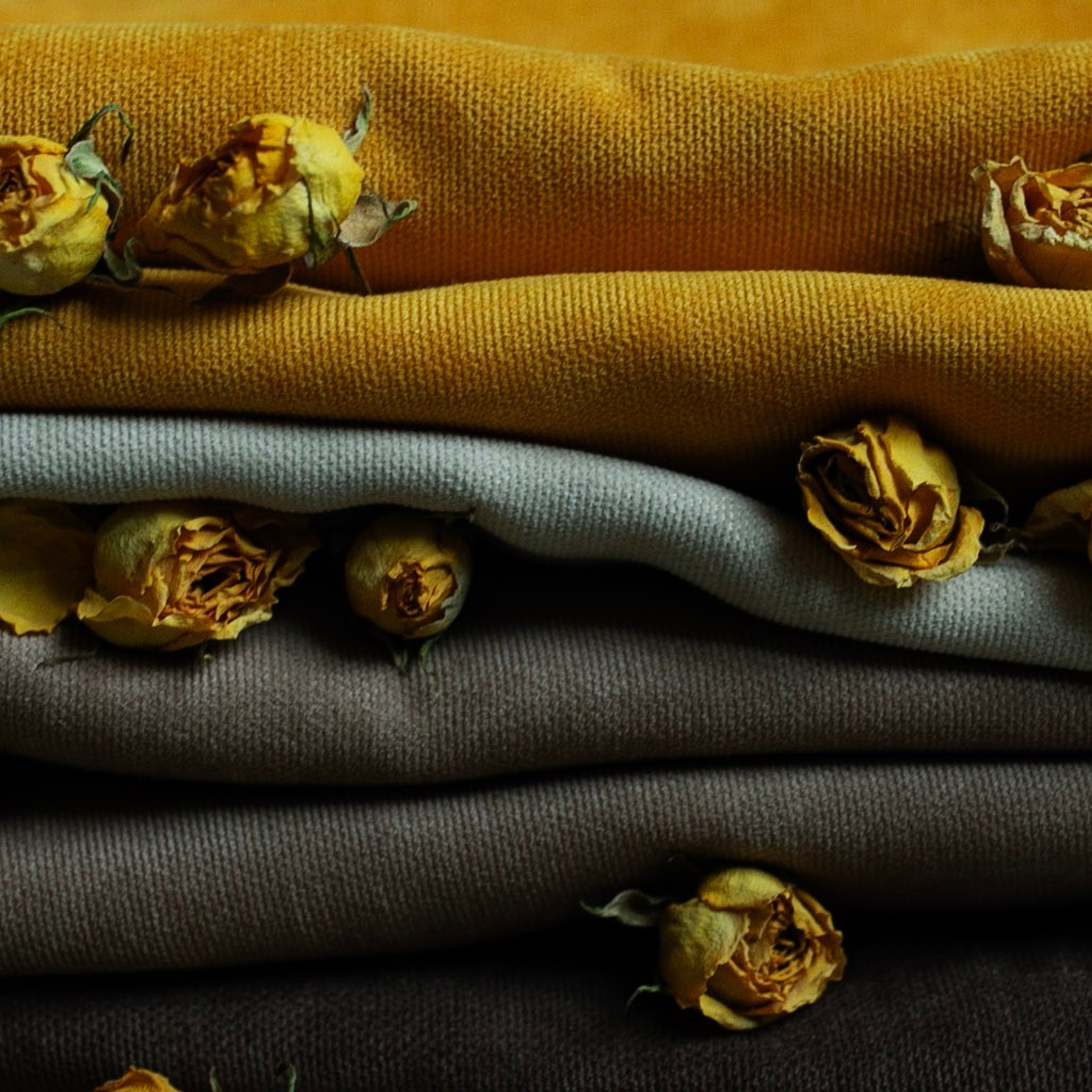 Предметы и цвет. Фотограф-портретист в Москве