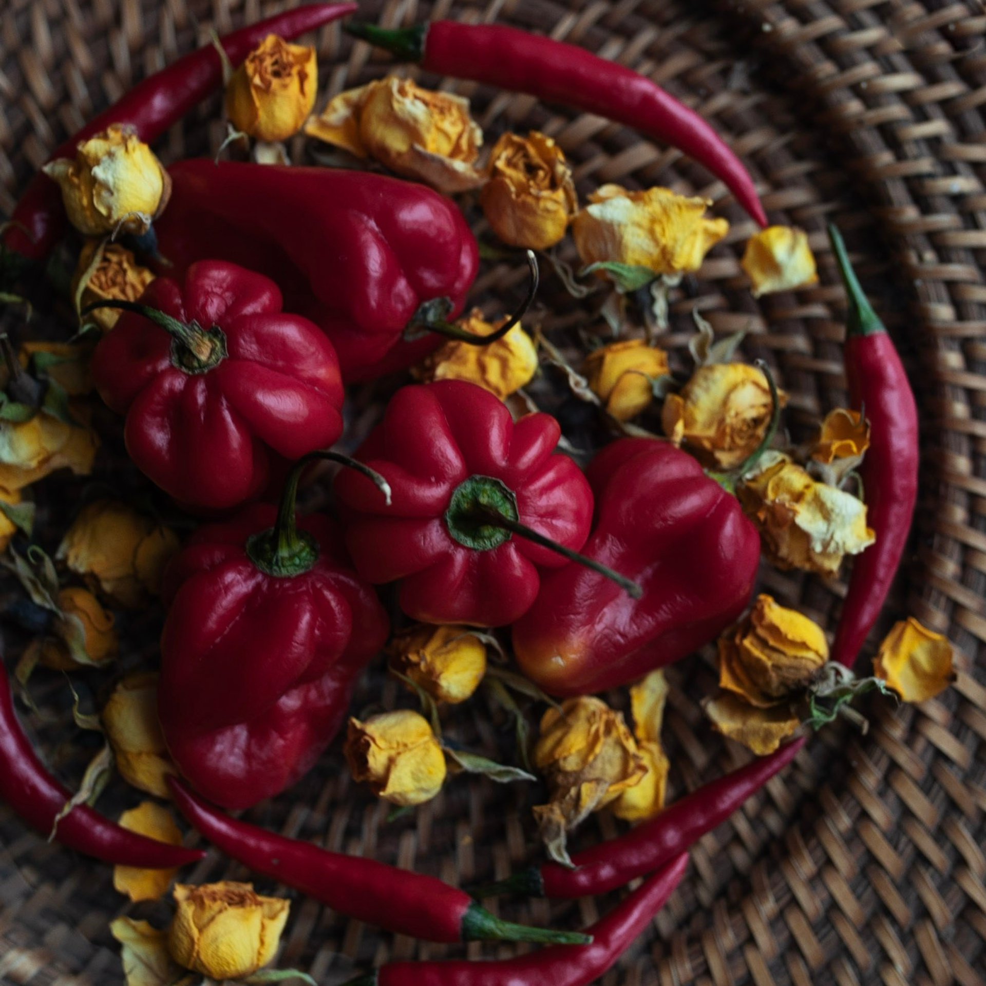 Предметы и цвет. Фотограф-портретист в Москве