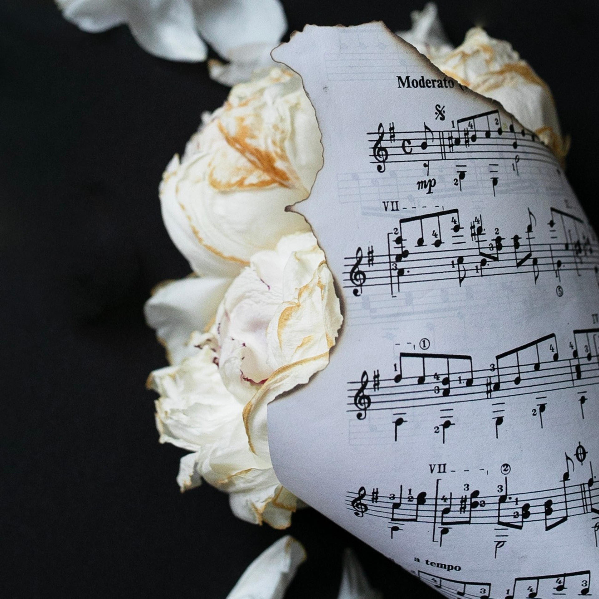 Предметы и цвет. Фотограф-портретист в Москве