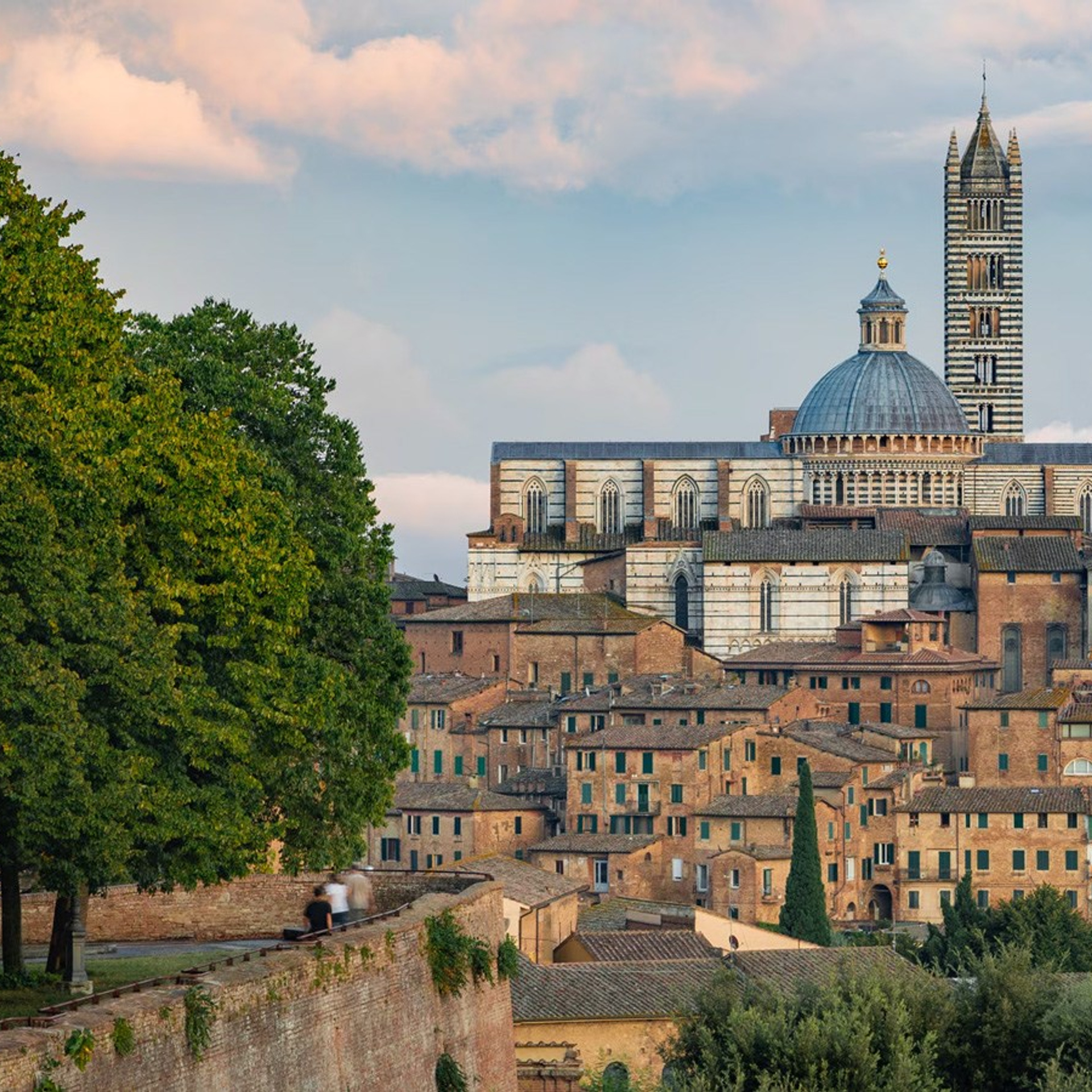 Фотограф Михаил Потапов
