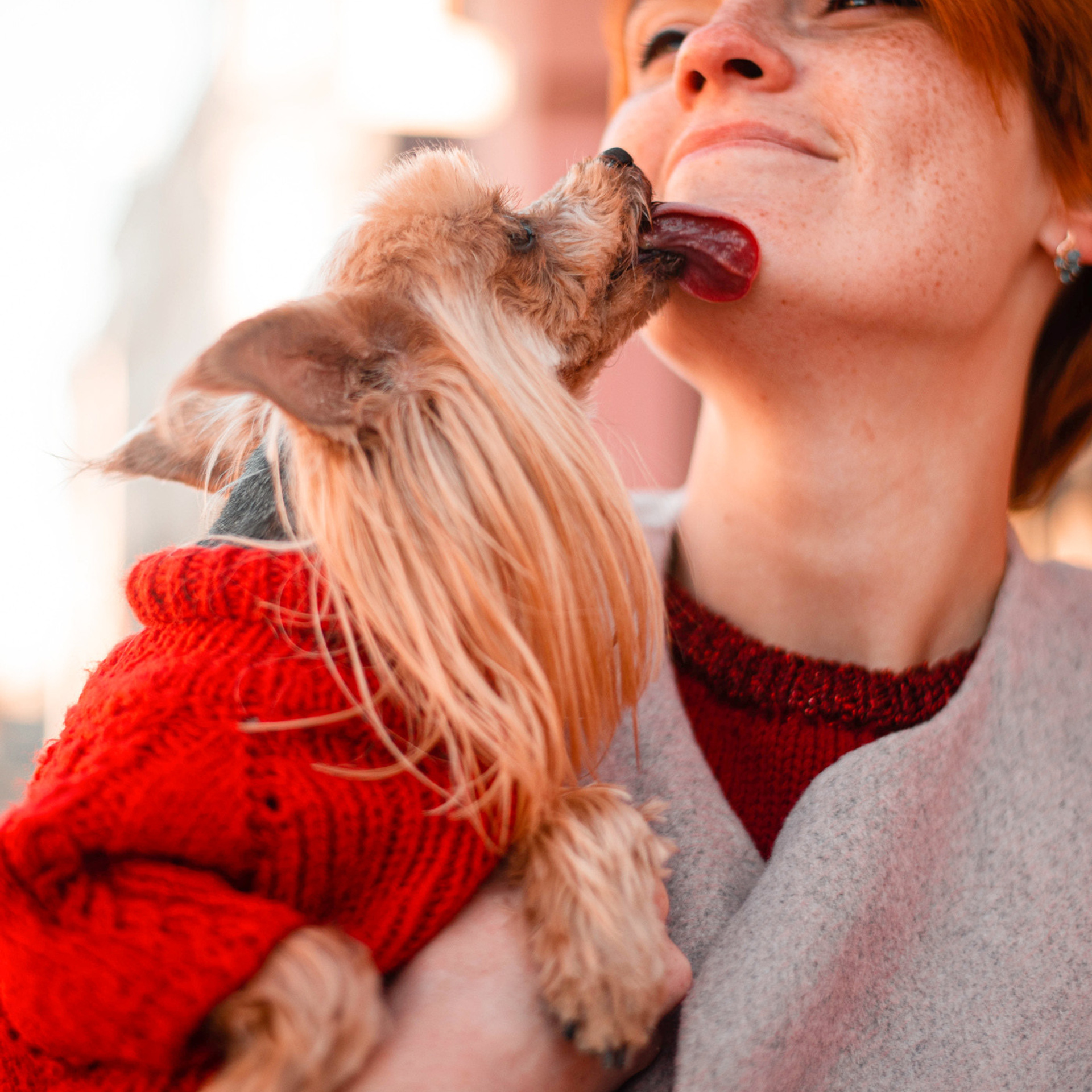 Ира и Вжик. Фотограф — анималист Саратов/Москва|Плужникова Юлия