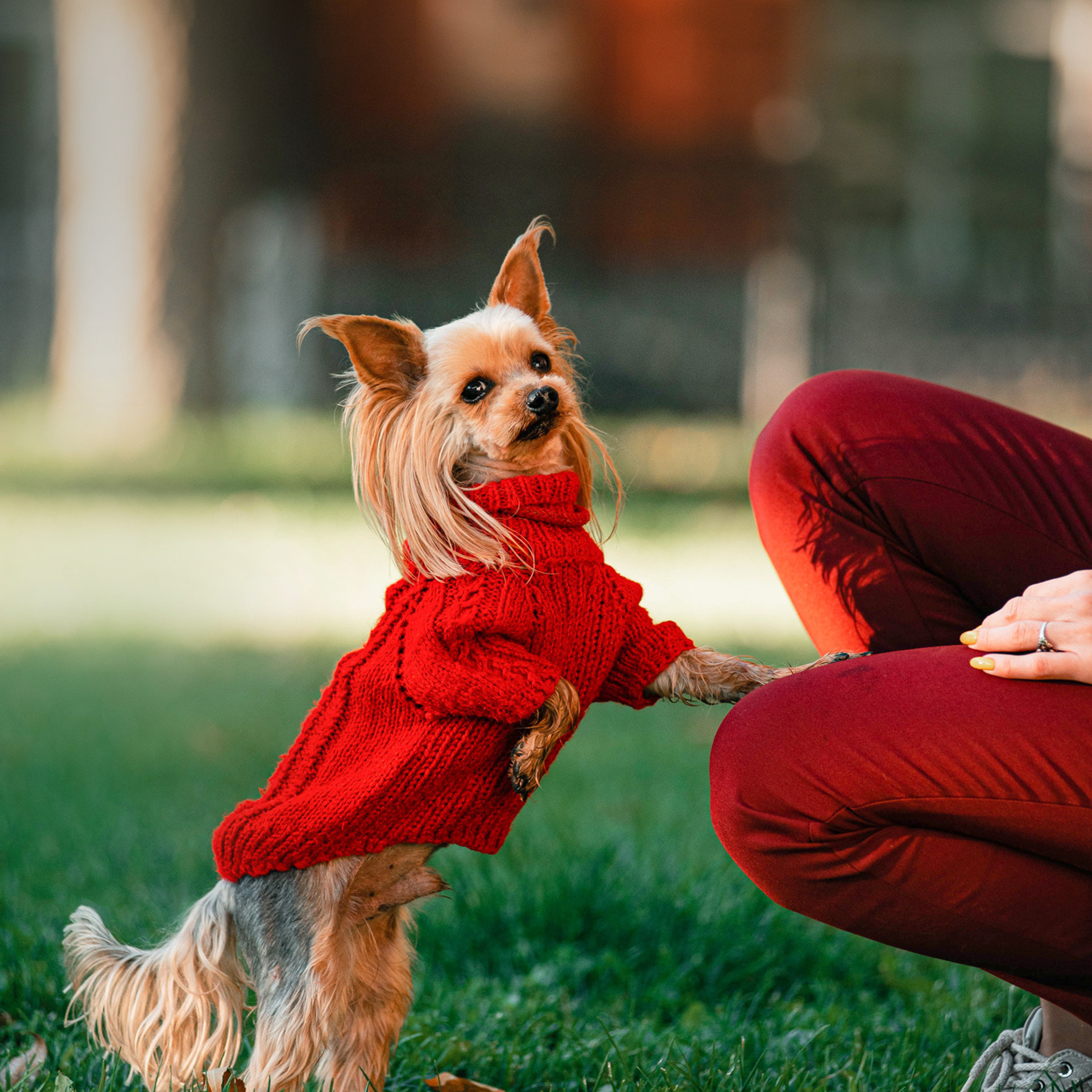 Ира и Вжик. Фотограф — анималист Саратов/Москва|Плужникова Юлия
