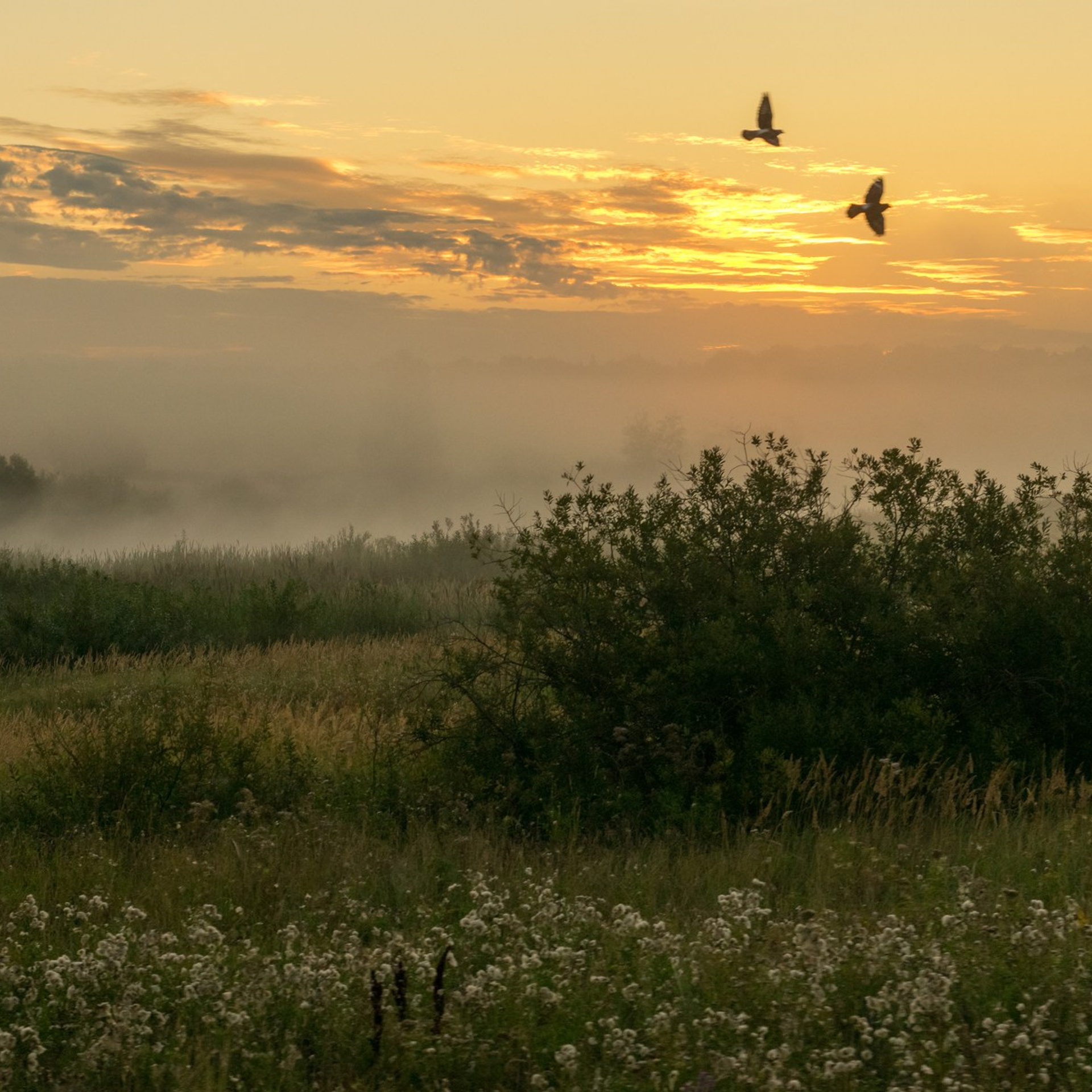 Виртуальная выставка от Орловского областного центра. Фотографы в Орле Шестопаловы Юлия и Юрий