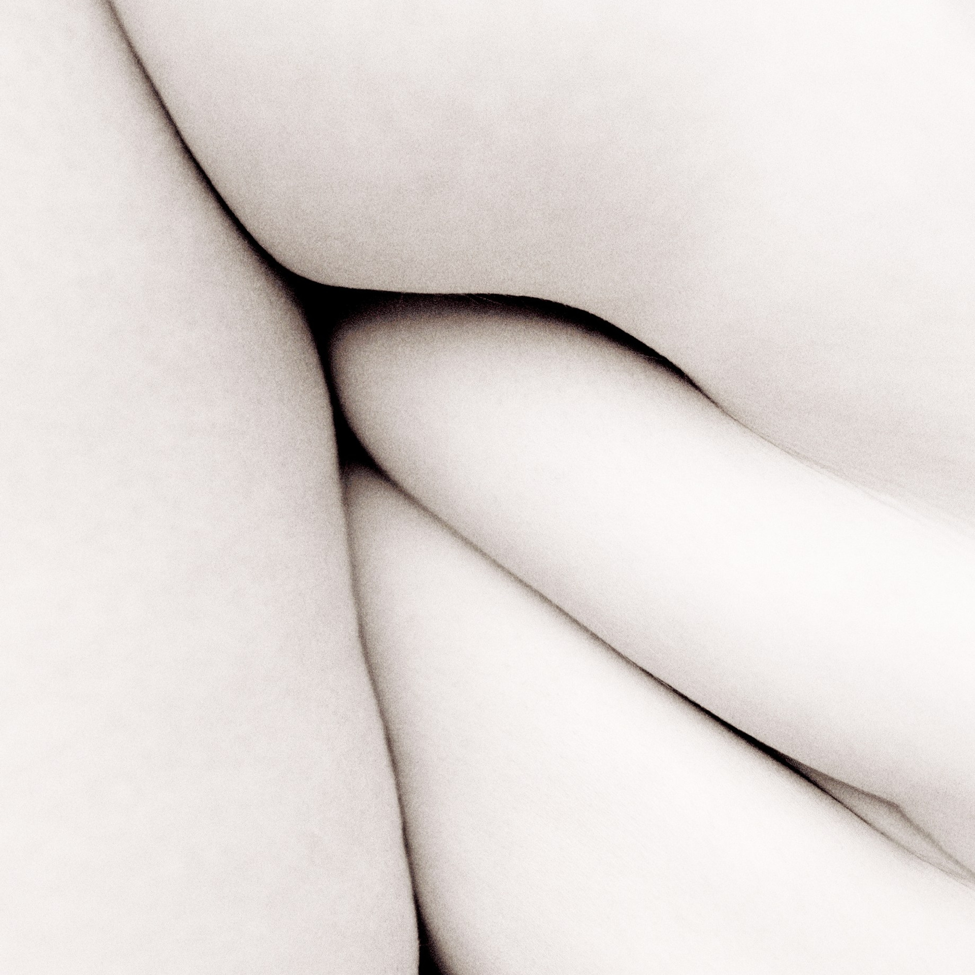 Виртуальная выставка от Орловского областного центра. Фотографы в Орле Шестопаловы Юлия и Юрий