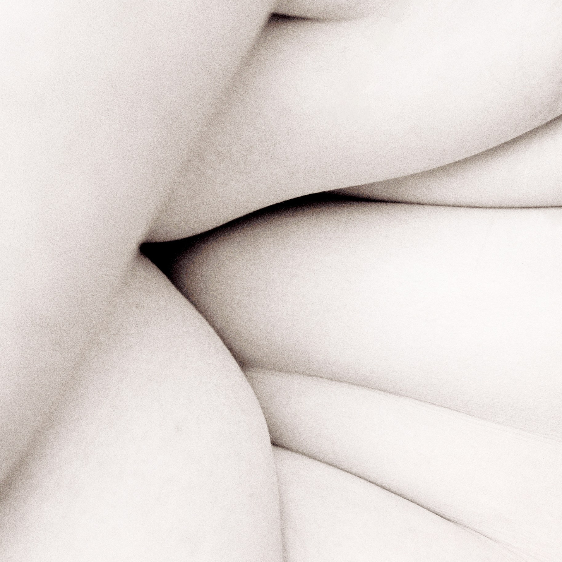 Виртуальная выставка от Орловского областного центра. Фотографы в Орле Шестопаловы Юлия и Юрий