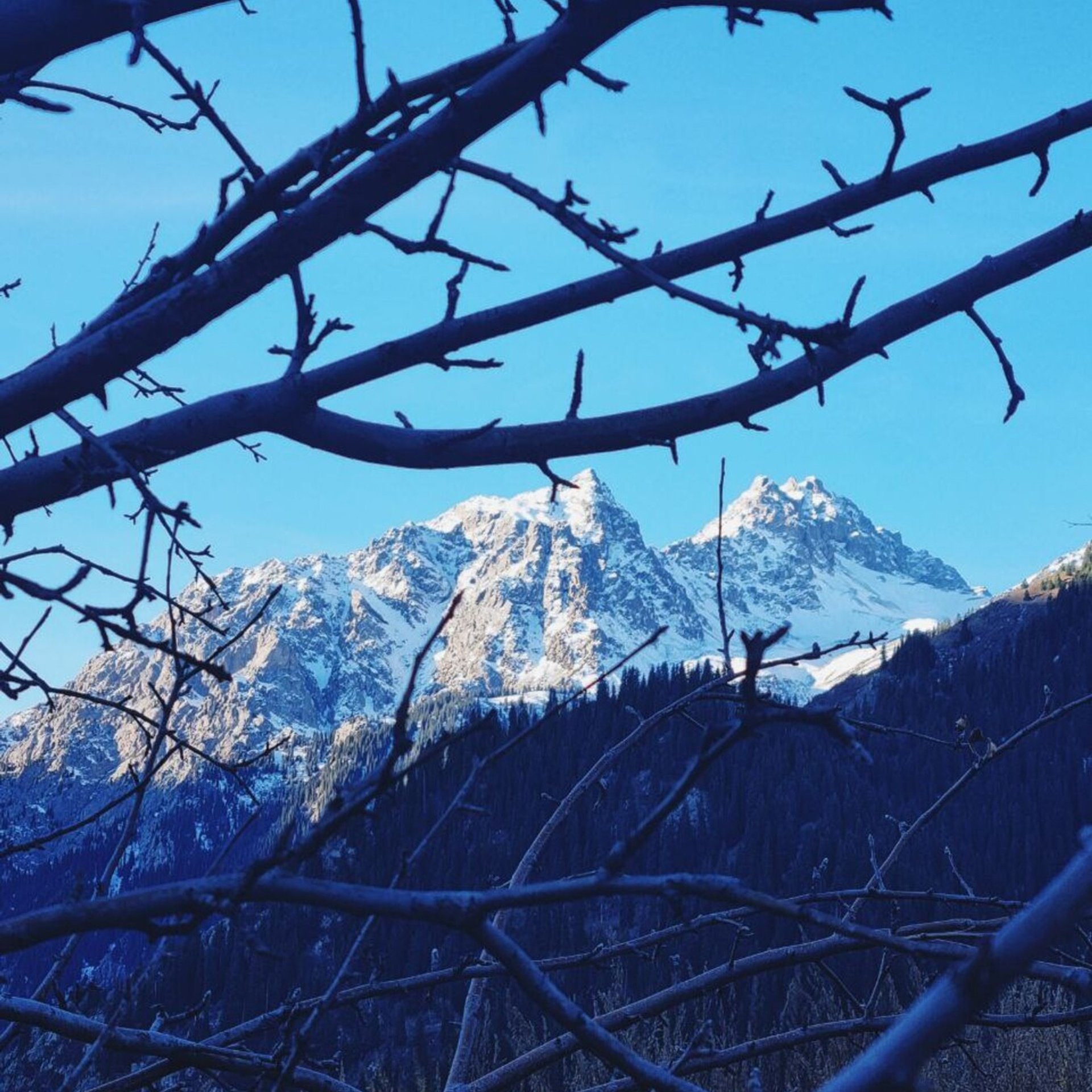 Горы Заилийского Алатау в районе Иссык, Алматы