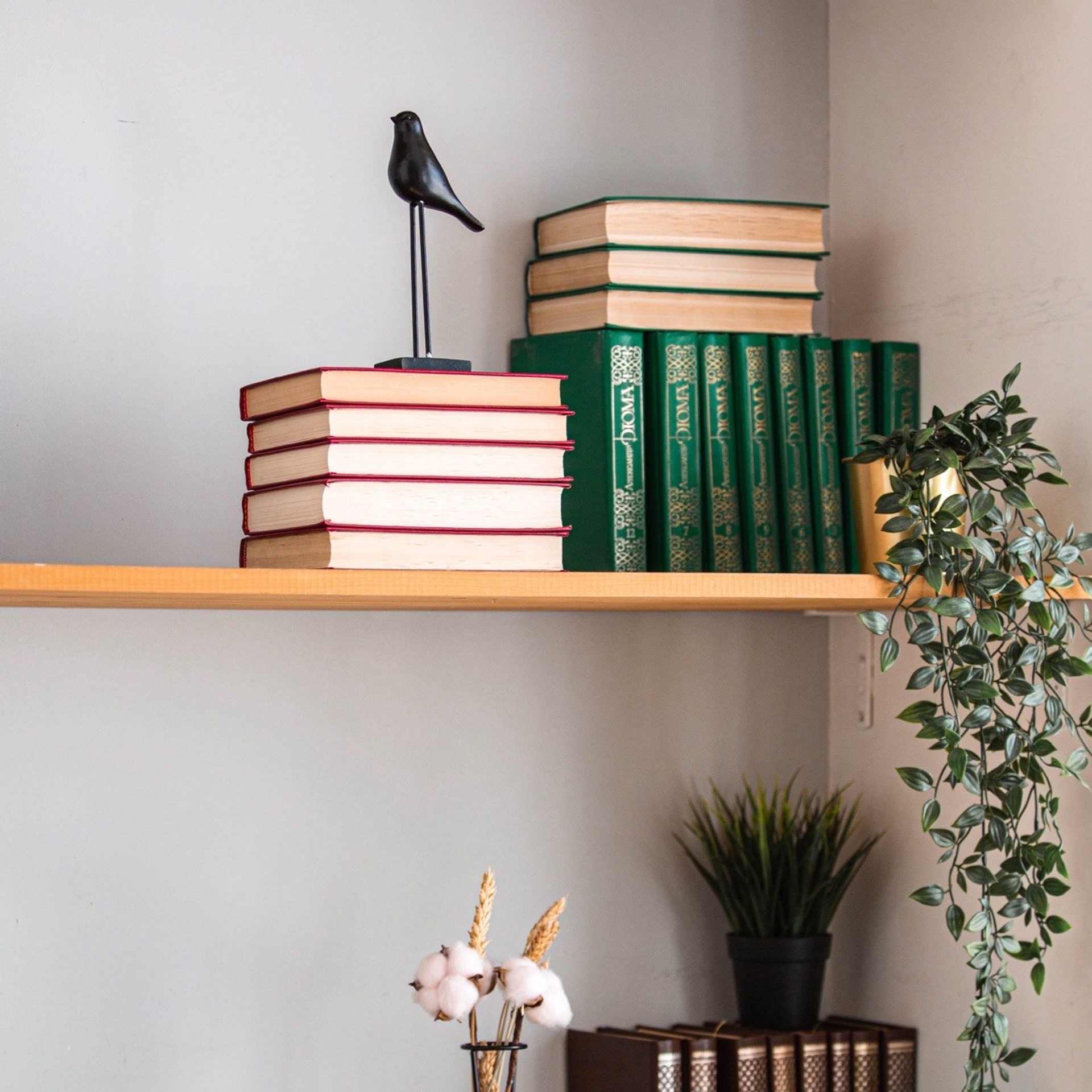 Актуальные фотостудии Самары: аренда, новогодние локации, услуги фотографа