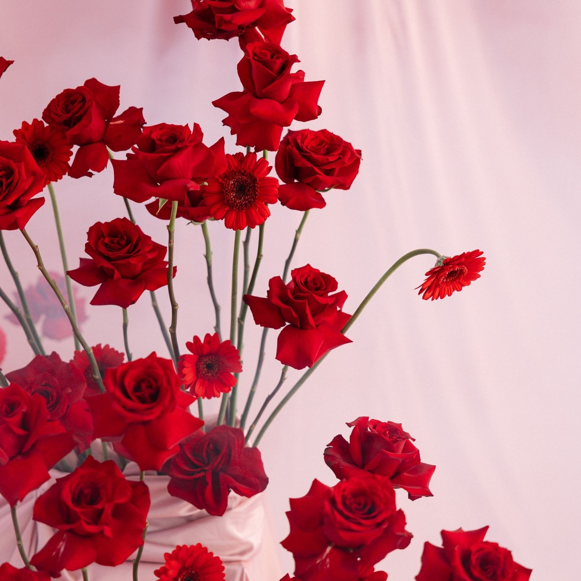 Актуальные фотостудии Самары: аренда, новогодние локации, услуги фотографа