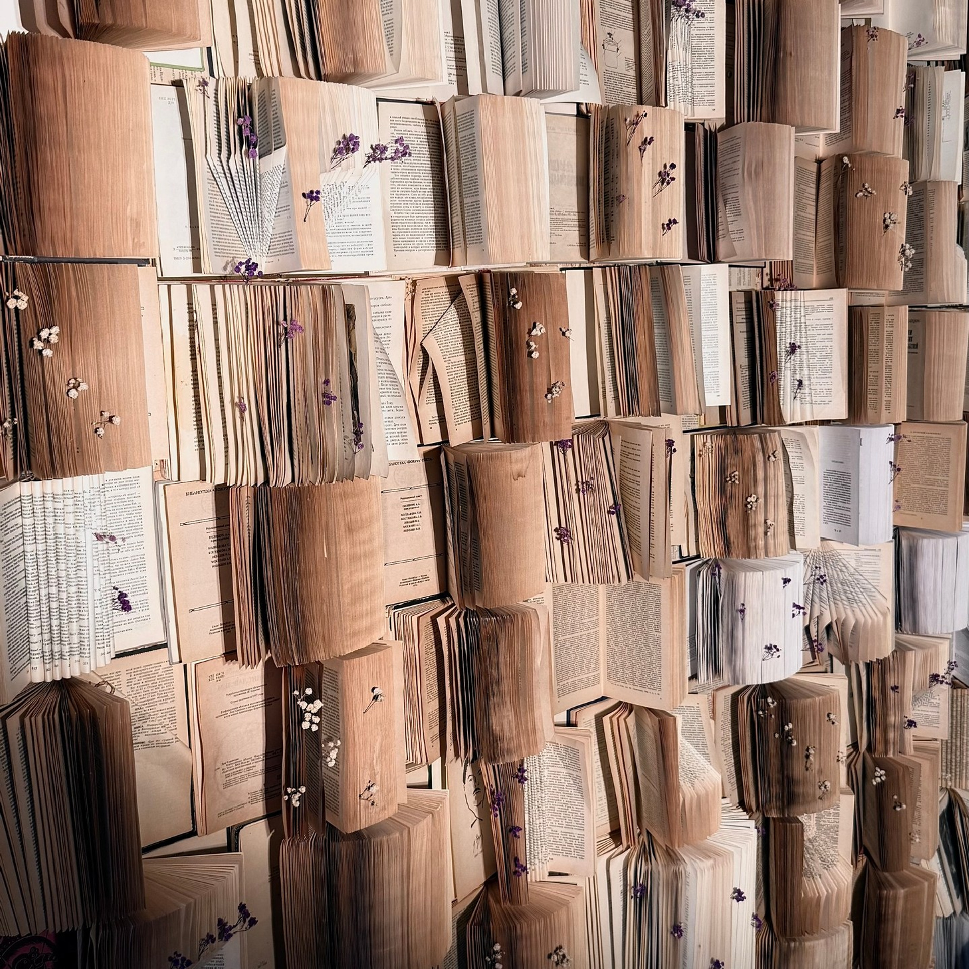 Актуальные фотостудии Самары: аренда, новогодние локации, услуги фотографа