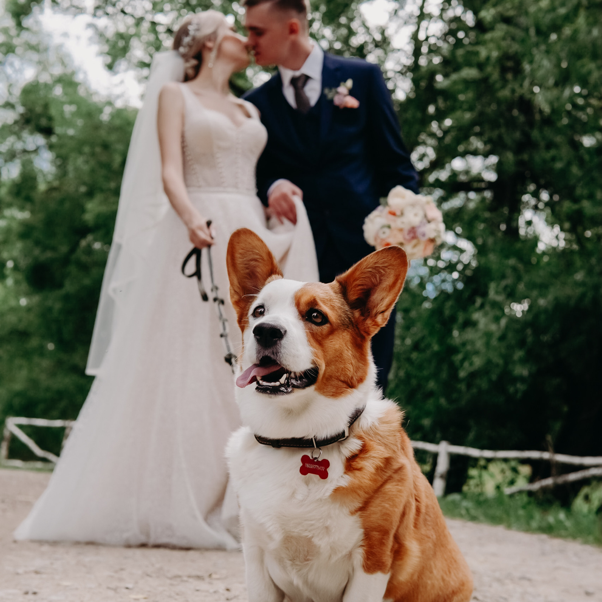 Прекрасное в малом. Фото | Видео Контент Мишель Ватаманюк