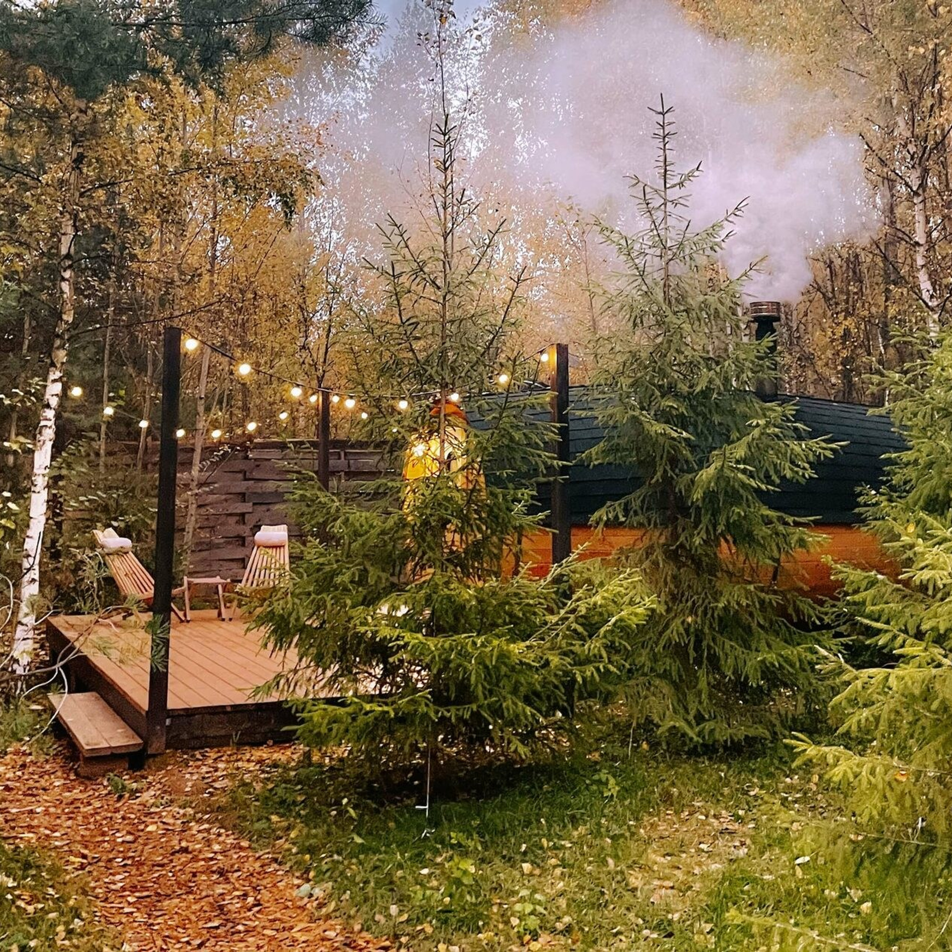 Эко-отель «Под кронами» - смотреть в каталоге