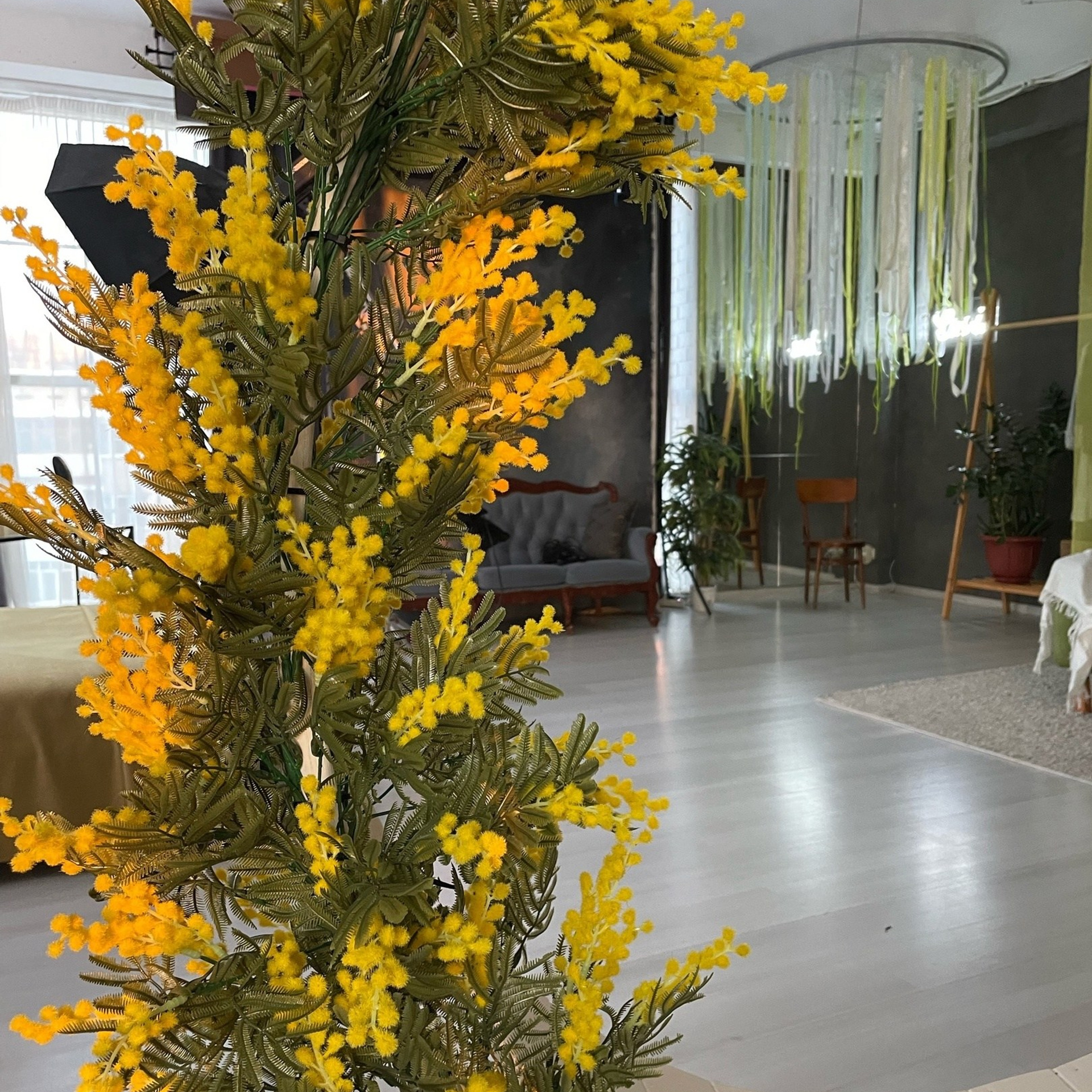 Фотостудии. Фотограф беременности Сыктывкар