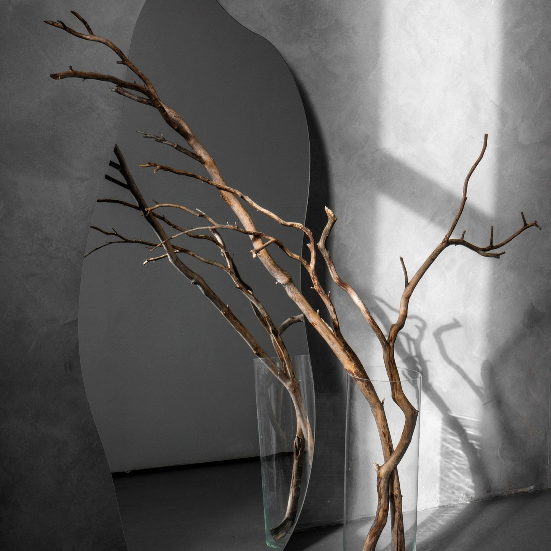 Фотостудии. Фотограф беременности Сыктывкар