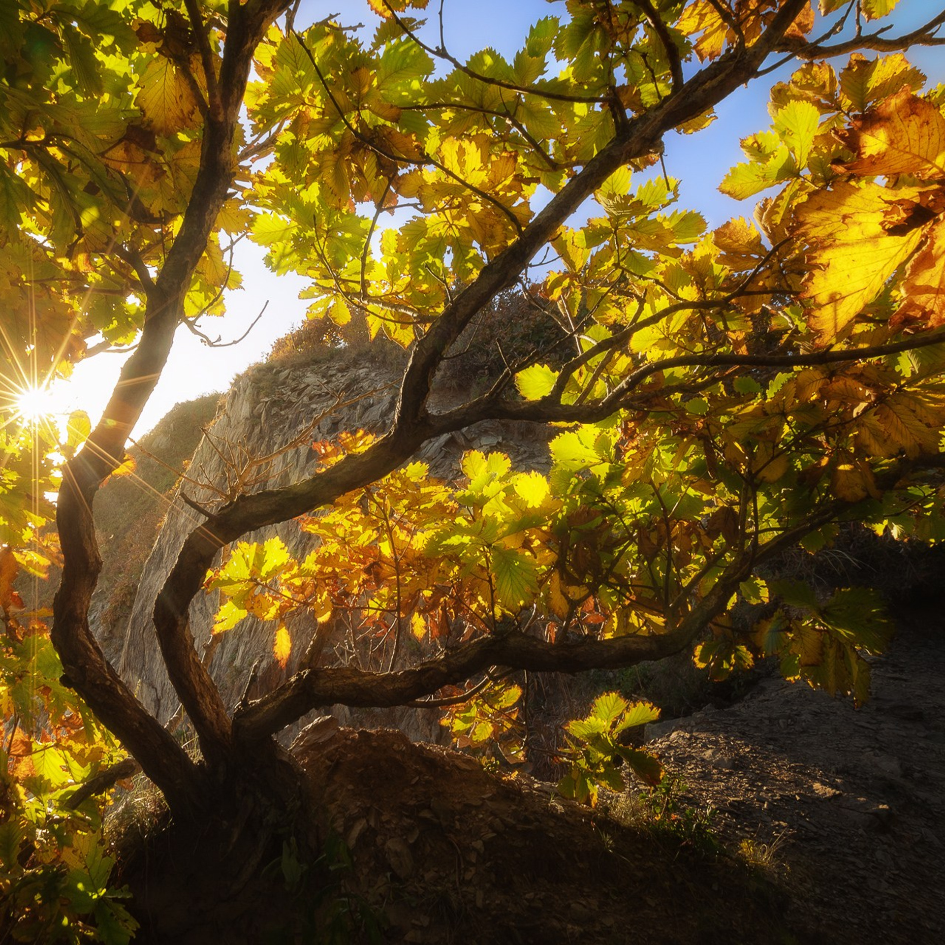 ПРИМОРЬЕ 2025. Фототуры и обучение пейзажной фотографии