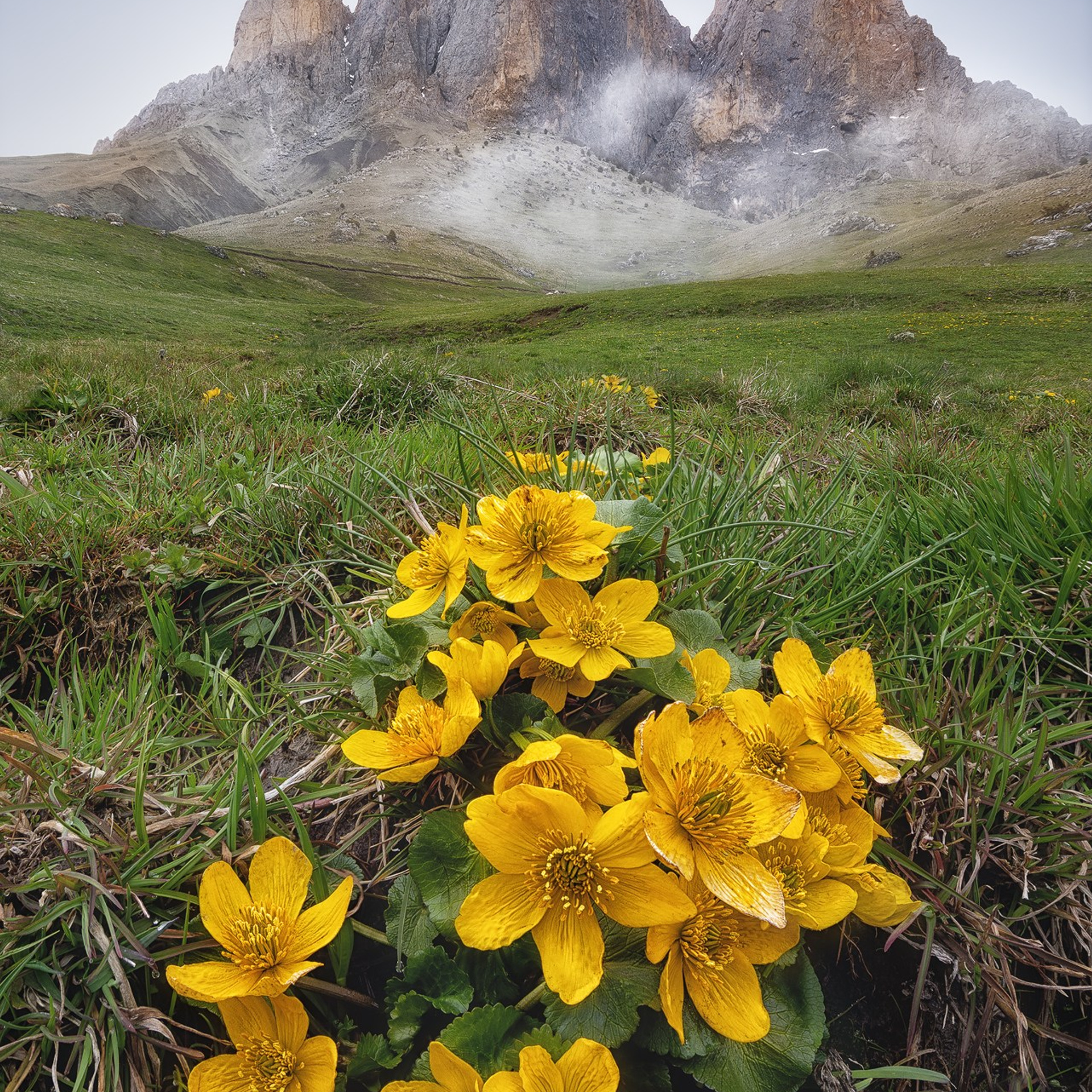 ИНГУШЕТИЯ ВОРКШОП 2026 (2). Фототуры и обучение пейзажной фотографии
