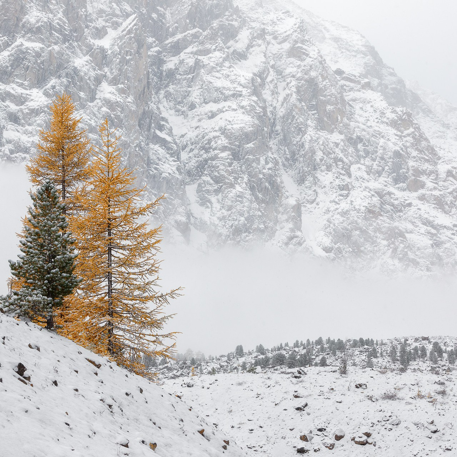 Осенний фототур по Алтаю