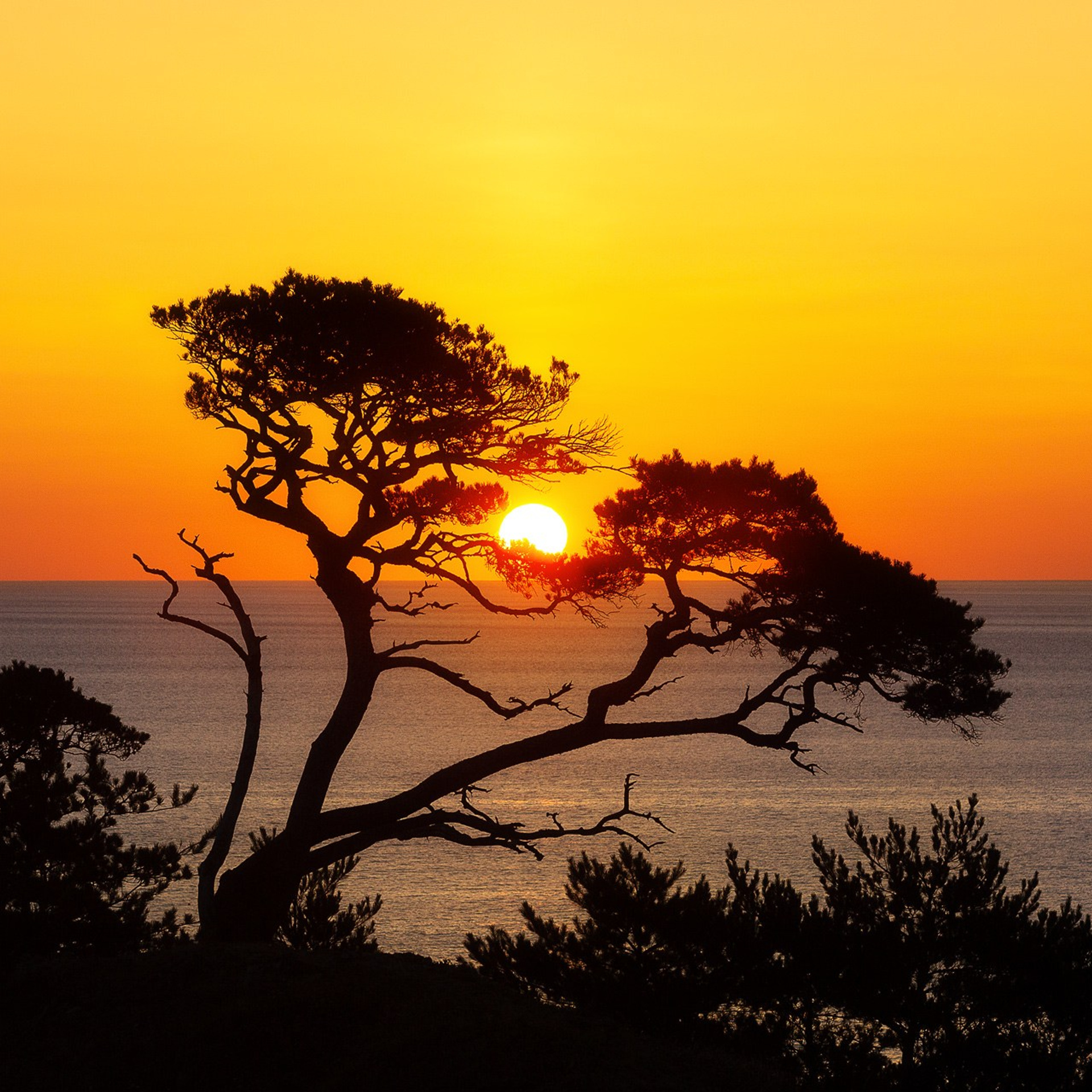 ПРИМОРЬЕ 2025. Фототуры и обучение пейзажной фотографии