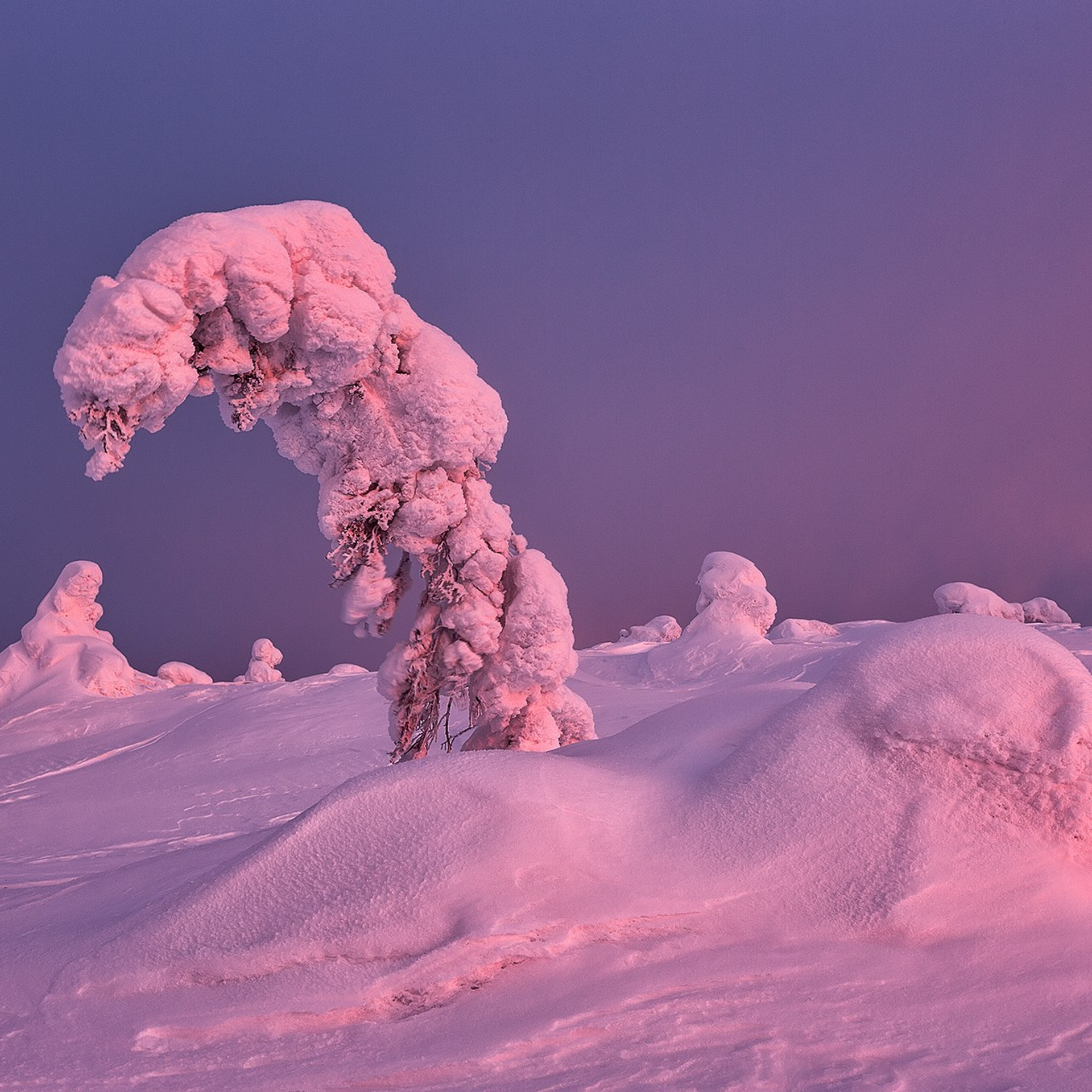 КОЛЬСКИЙ ПОЛУОСТРОВ ФЕВРАЛЬ 2025. Фототуры и обучение пейзажной фотографии