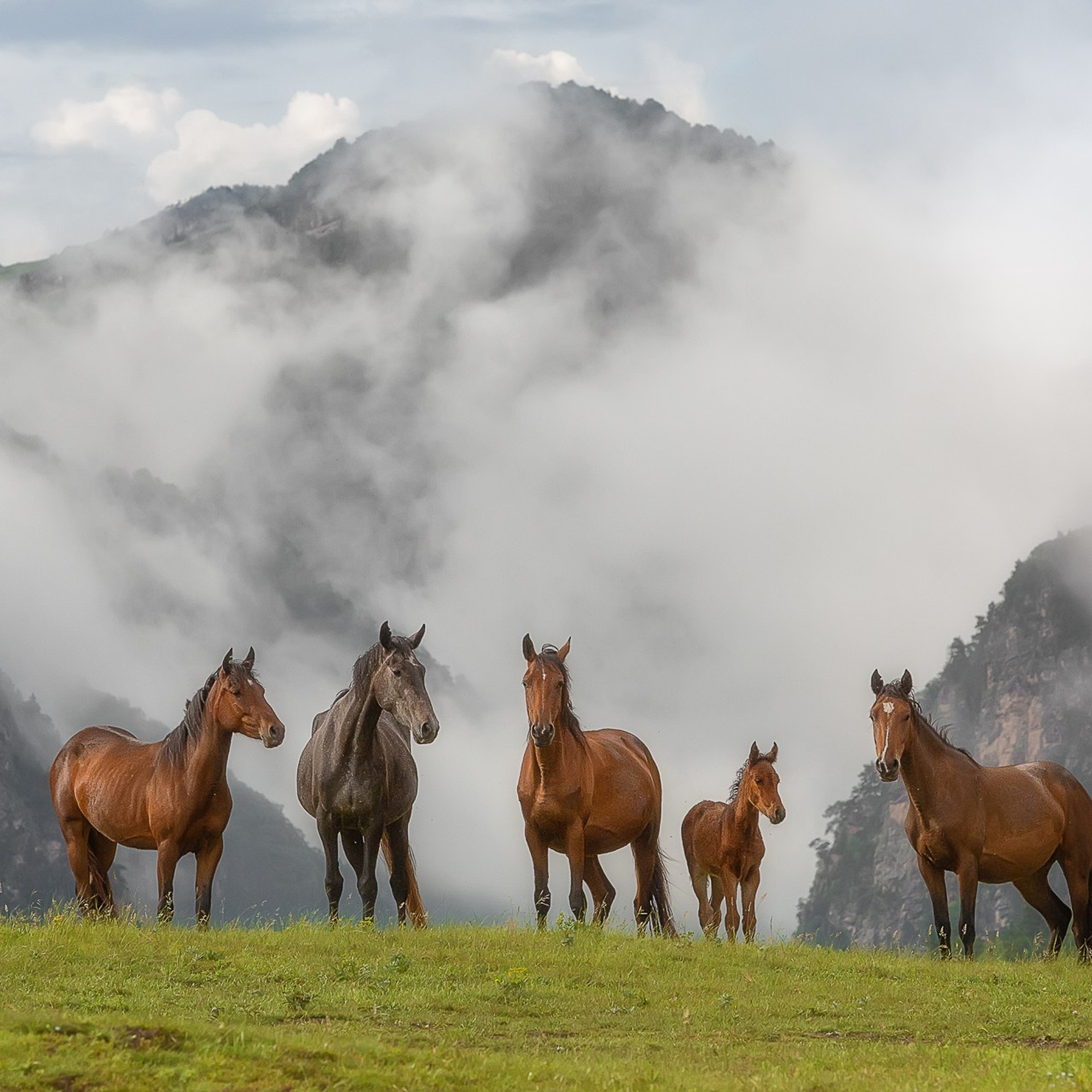 ИНГУШЕТИЯ ВОРКШОП 2025. Фототуры и обучение пейзажной фотографии