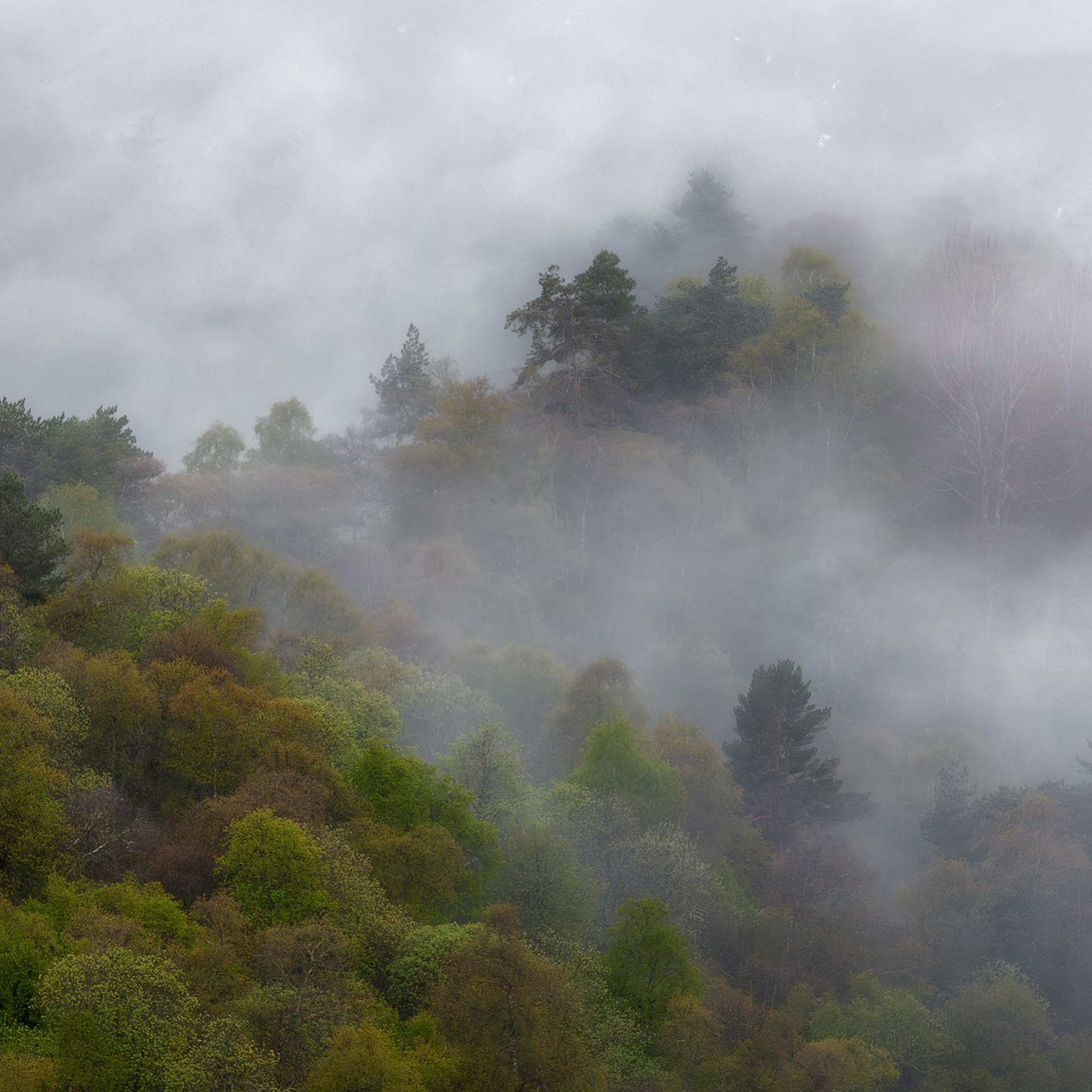 ПРИЭЛЬБРУСЬЕ И ИНГУШЕТИЯ 2026. Фототуры и обучение пейзажной фотографии