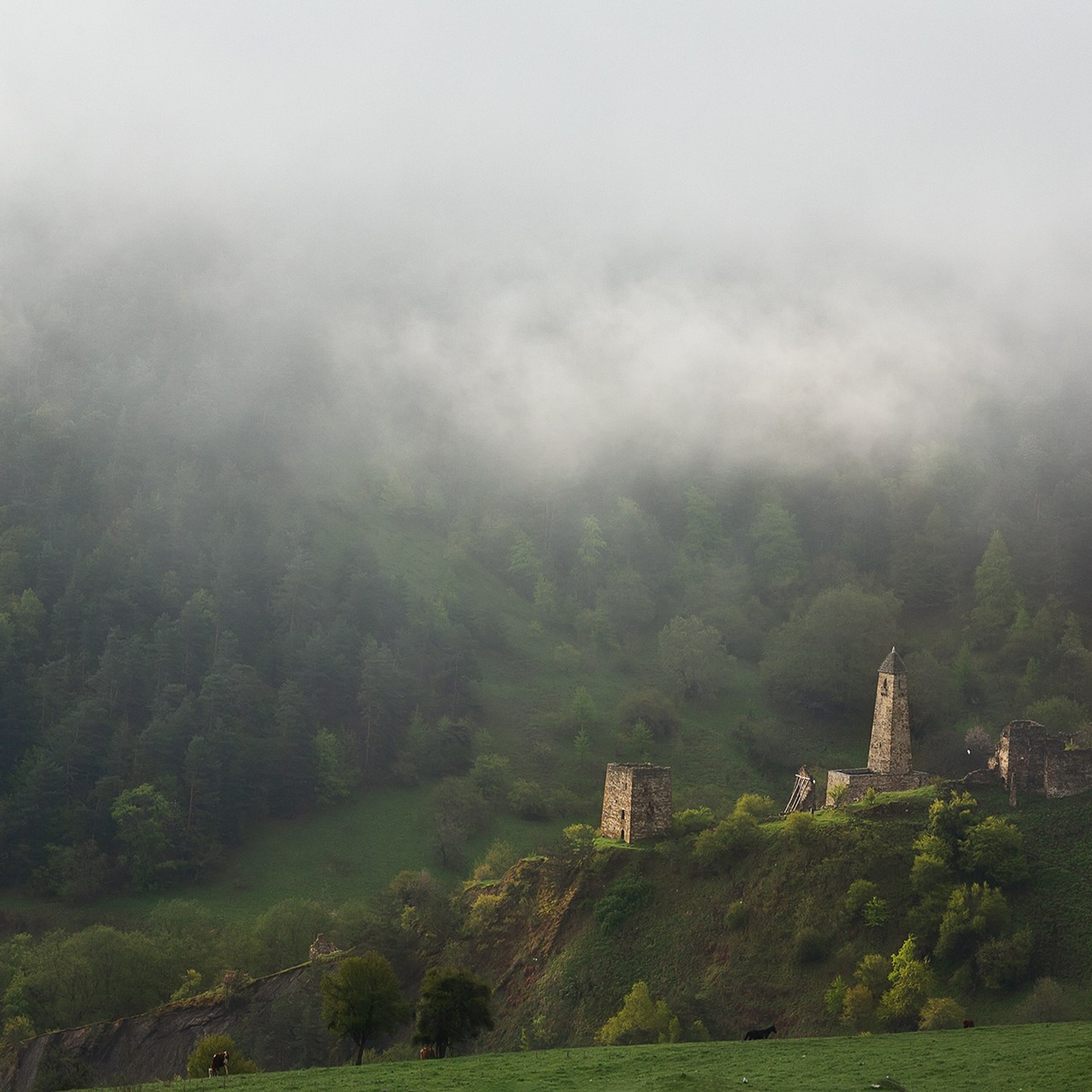 ИНГУШЕТИЯ ВОРКШОП 2026 (2). Фототуры и обучение пейзажной фотографии