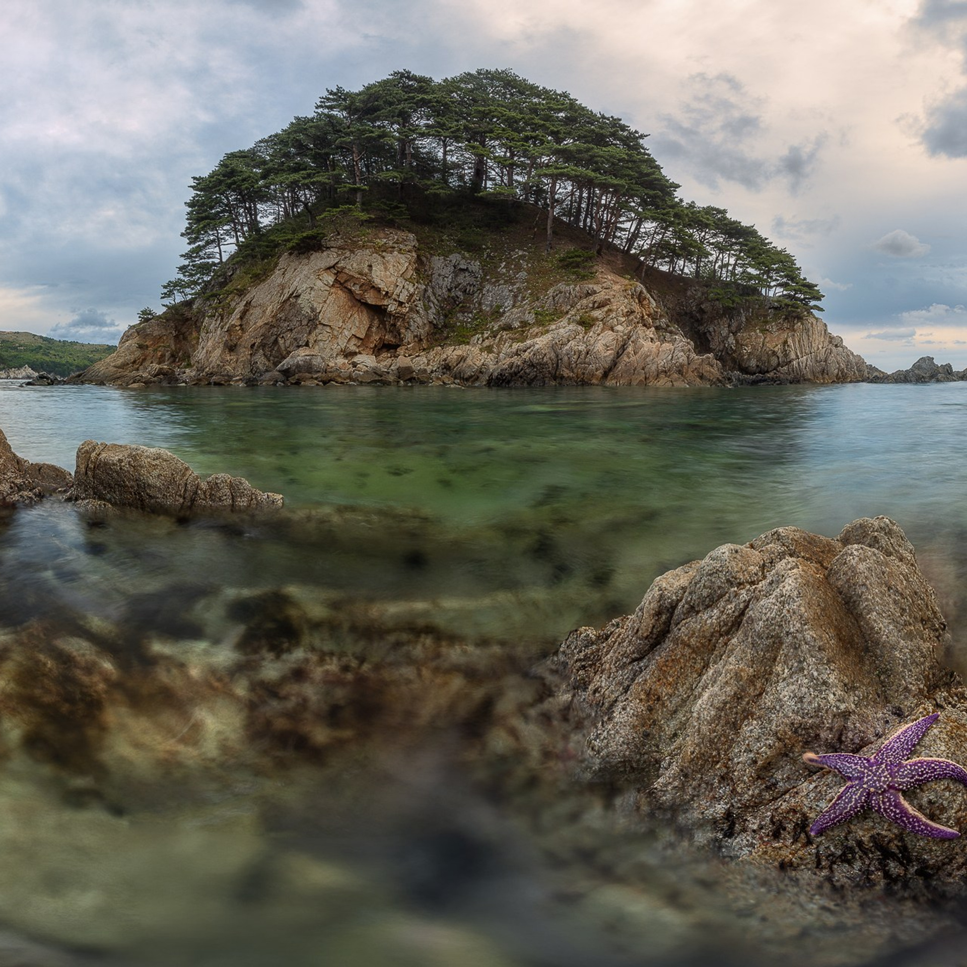 ПРИМОРЬЕ 2025. Фототуры и обучение пейзажной фотографии