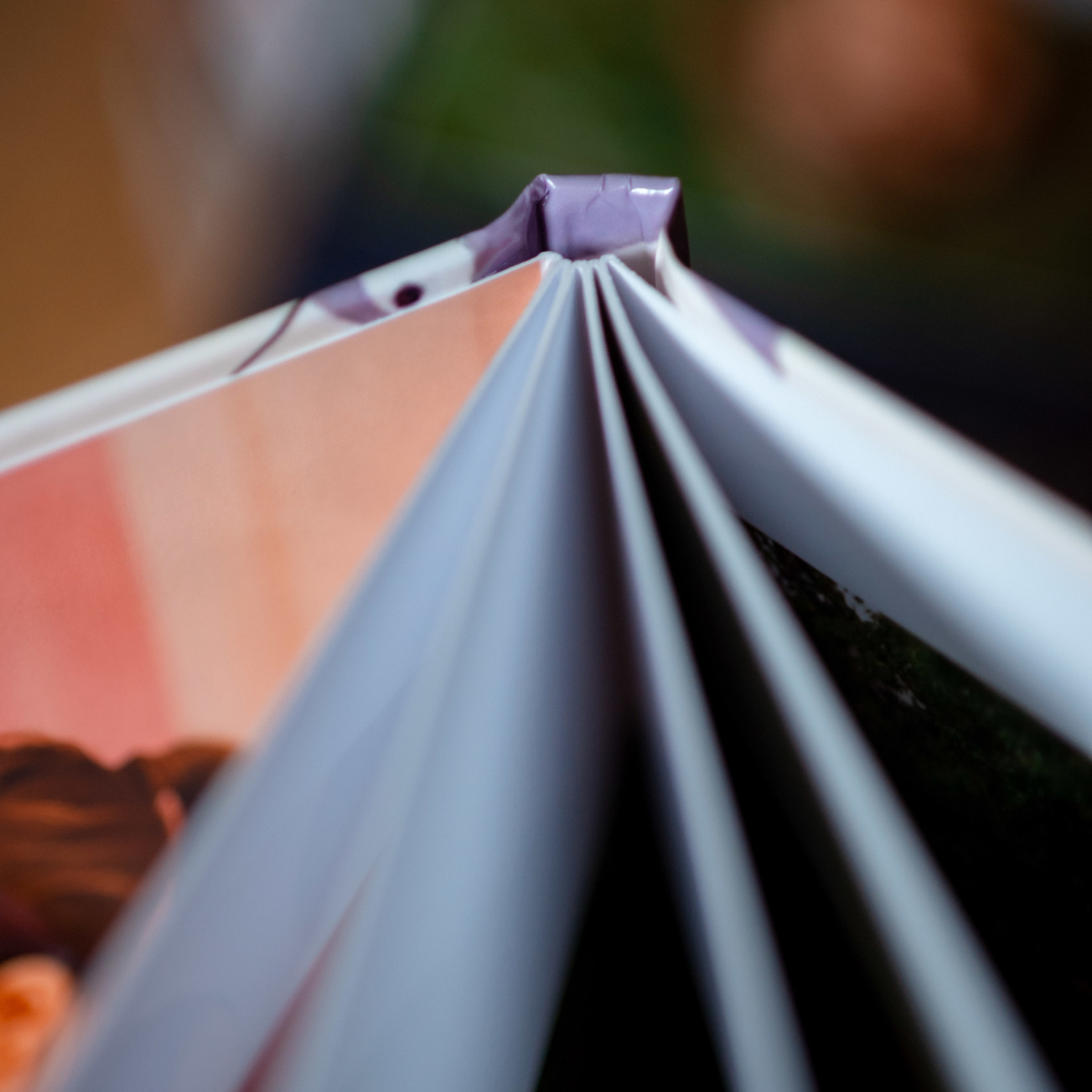 Детские садики. Сергей Богомолов. Свадебный и семейный фотограф