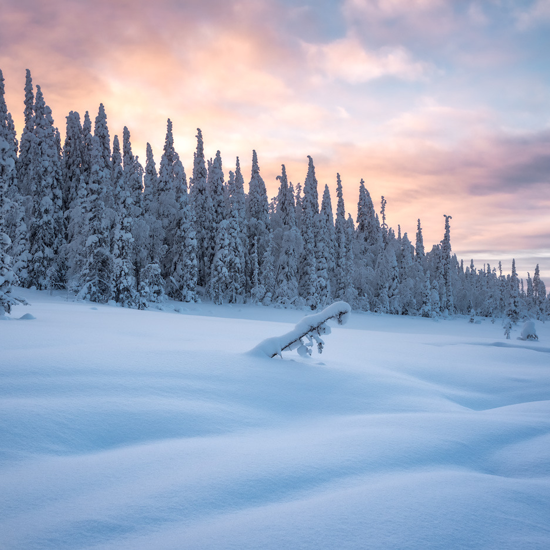 Зимняя сказка Паанаярви. Андрей Баскевич пейзажный и travel-фотограф в Зеленограде
