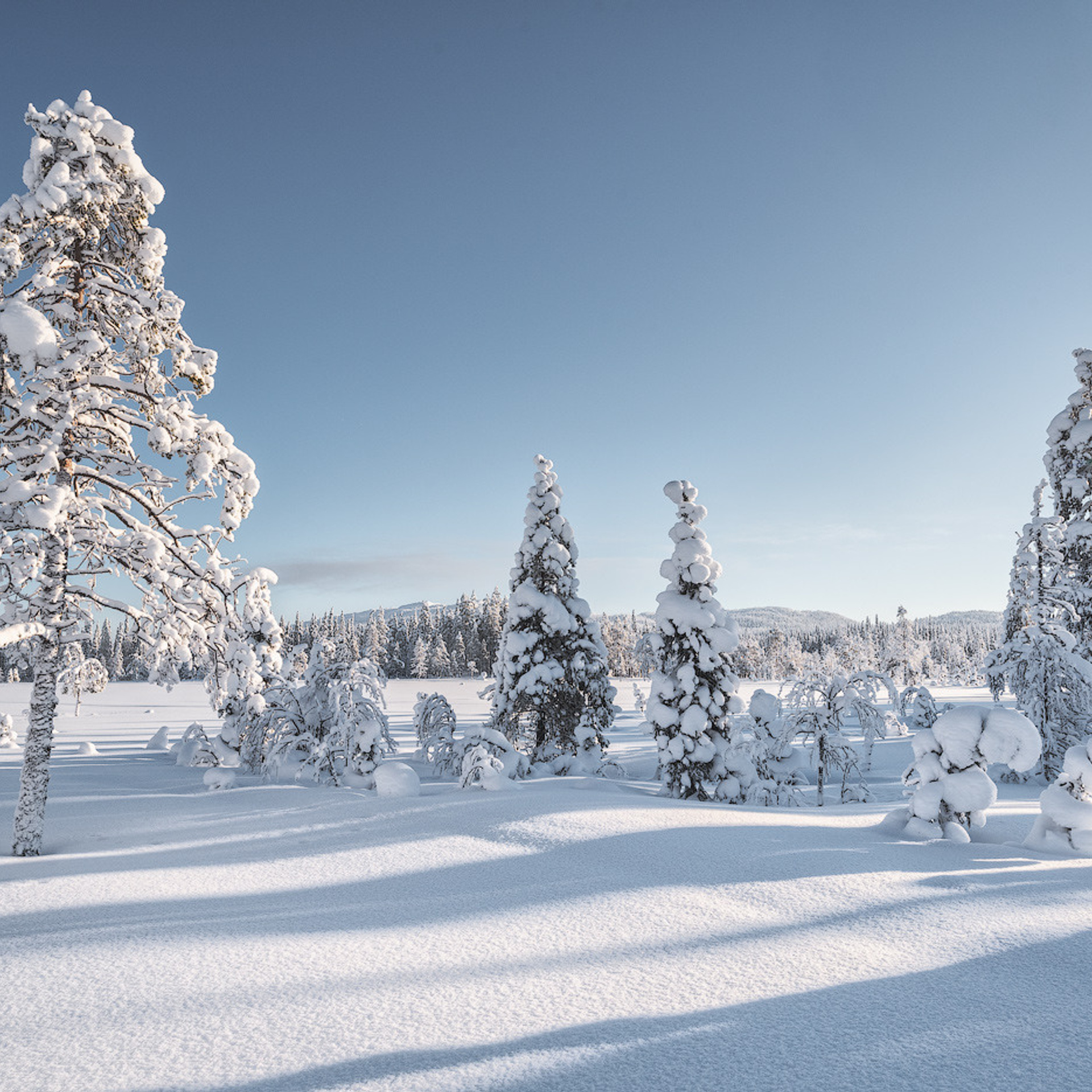 Природа Национального парка Паанаярви зимой