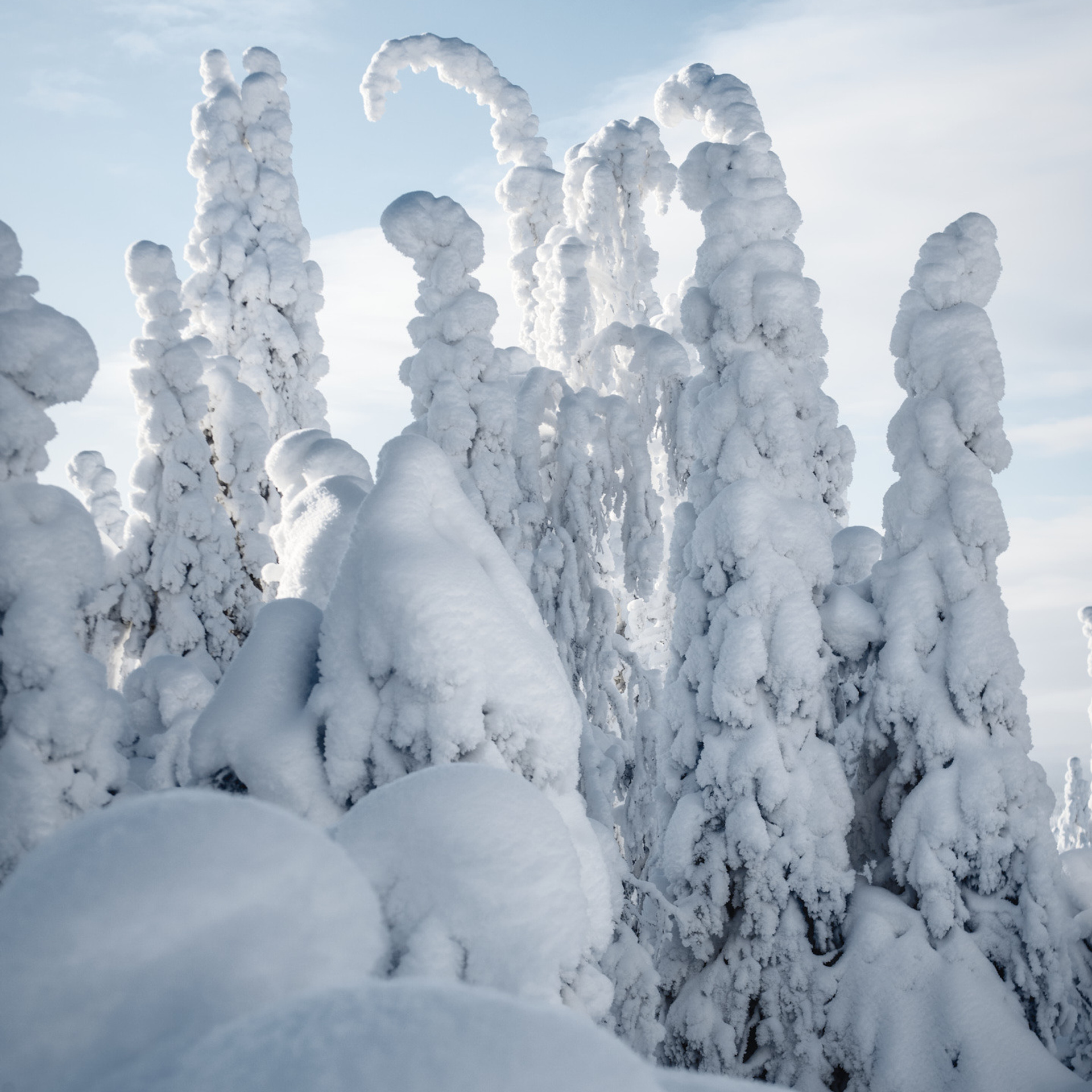 Зимняя сказка Паанаярви. Андрей Баскевич пейзажный и travel-фотограф в Зеленограде